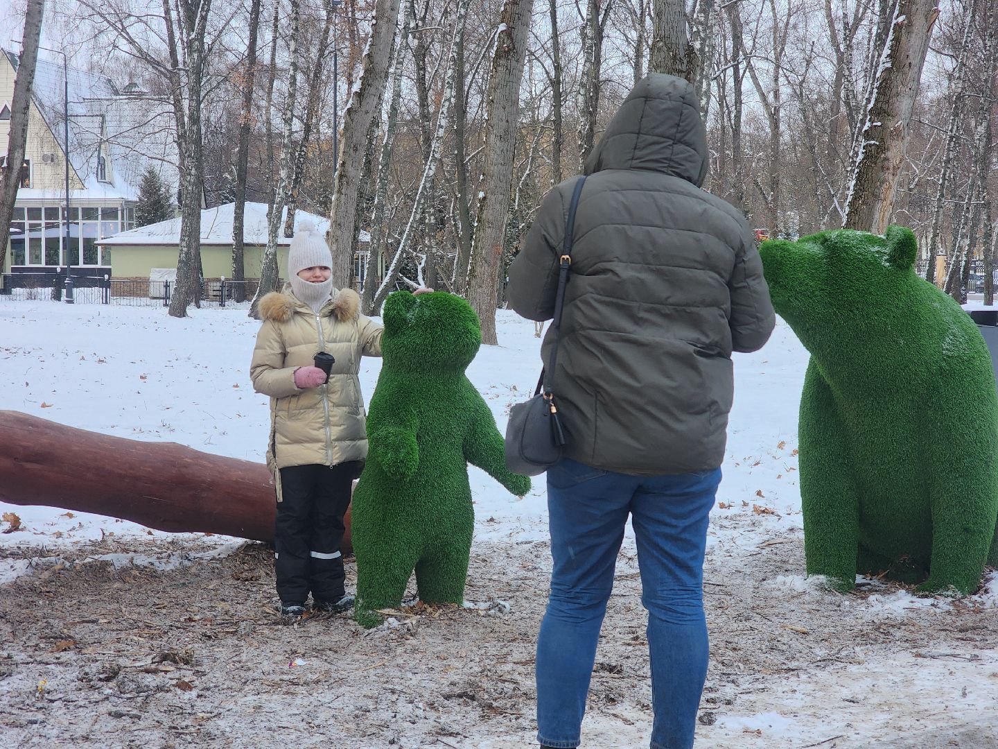 коломна, парк мира, новогоднее украшение, вертикалки,