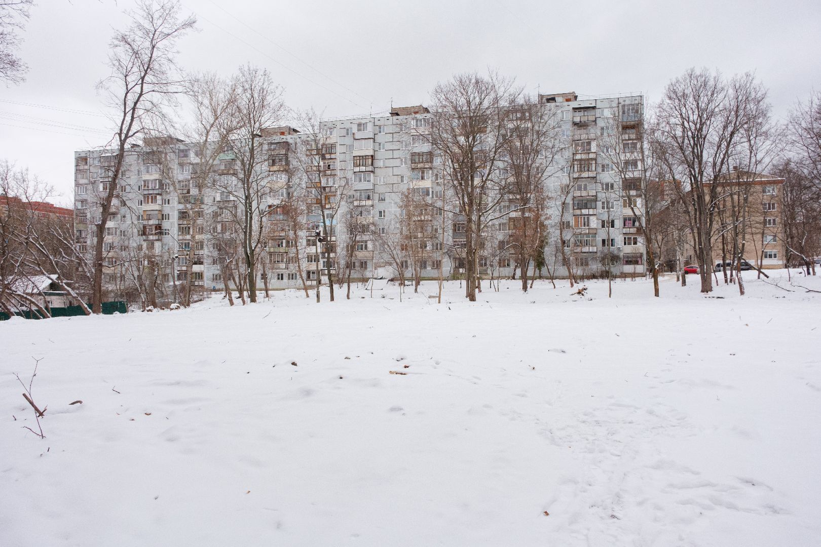 лыткарино, благоустройство, сквер, история, вертикалки,