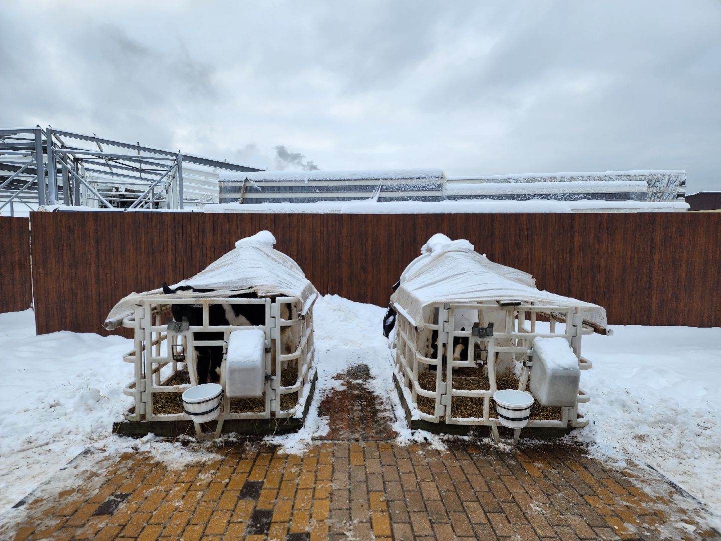 вертикалки, пушкино,