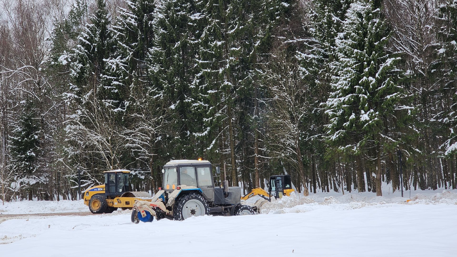 Звенигород, Благоустройство, Вертикалка, Парки Подмосковья, Строительство, вертикальное видео