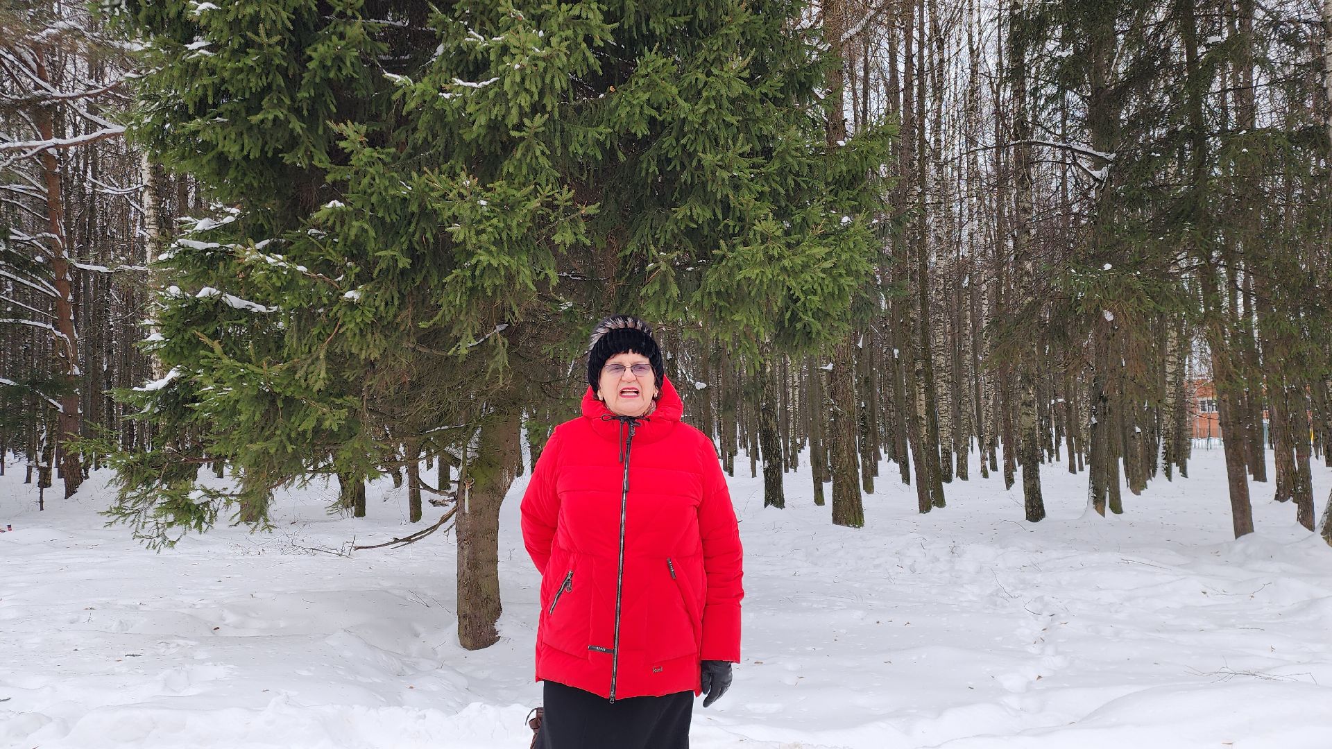 Звенигород, Благоустройство, Вертикалка, Парки Подмосковья, Строительство, вертикальное видео