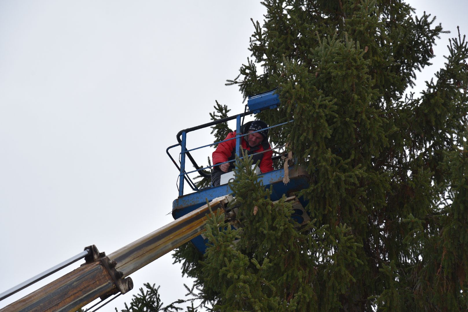 лотошино, лотошинская больница, новый год, ёлка, праздник, вертикалки,