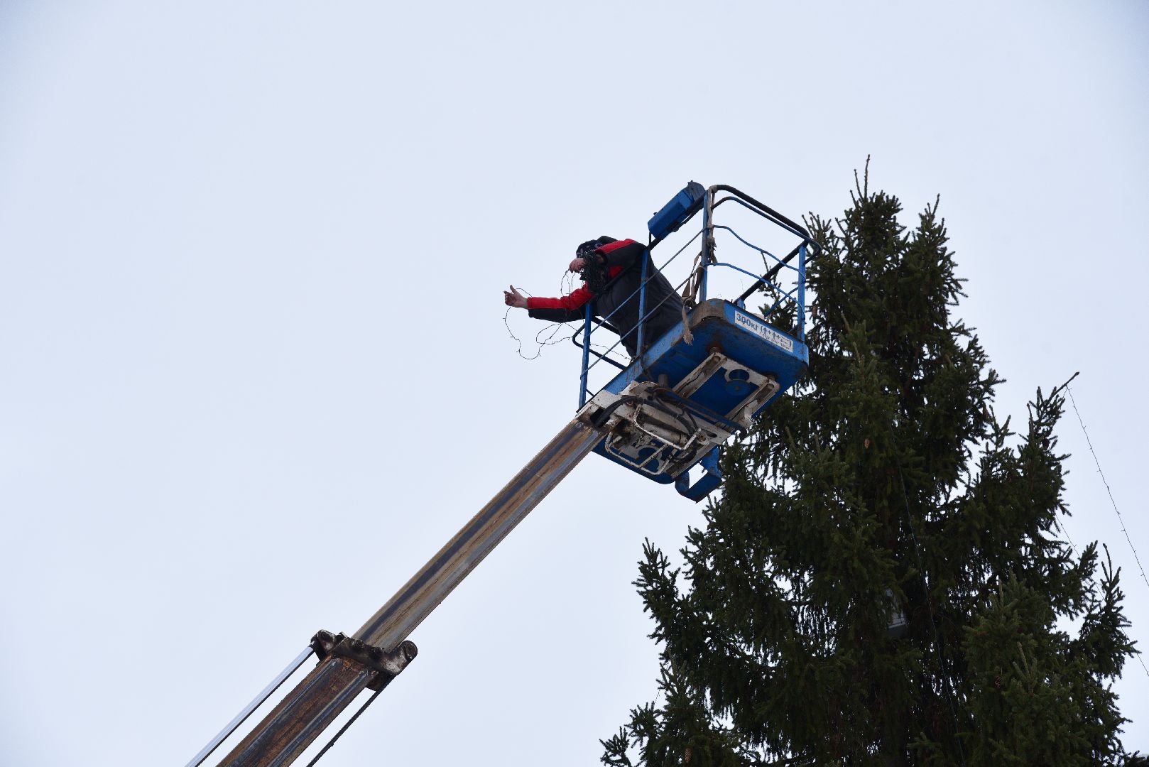 лотошино, лотошинская больница, новый год, ёлка, праздник, вертикалки,