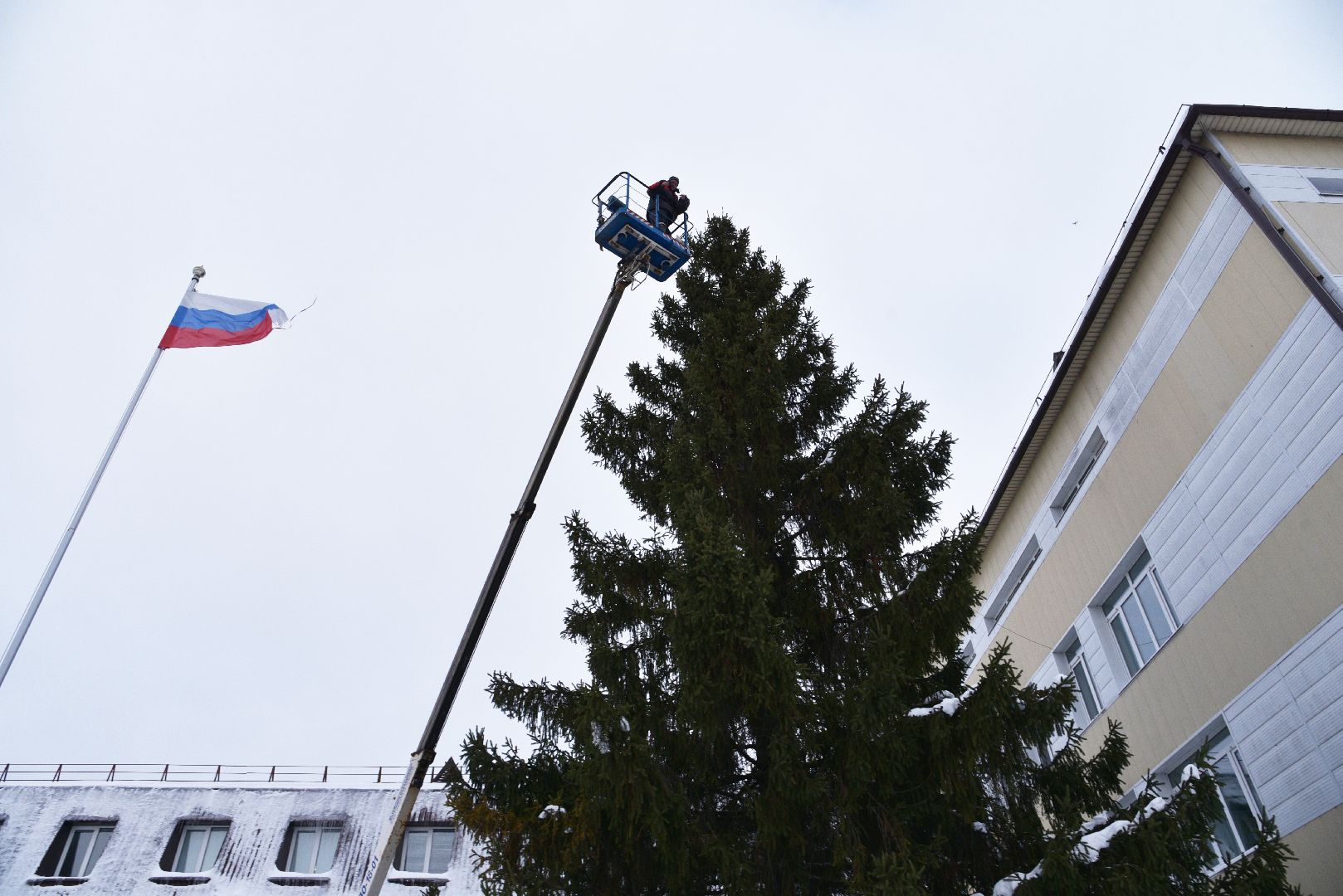 лотошино, лотошинская больница, новый год, ёлка, праздник, вертикалки,
