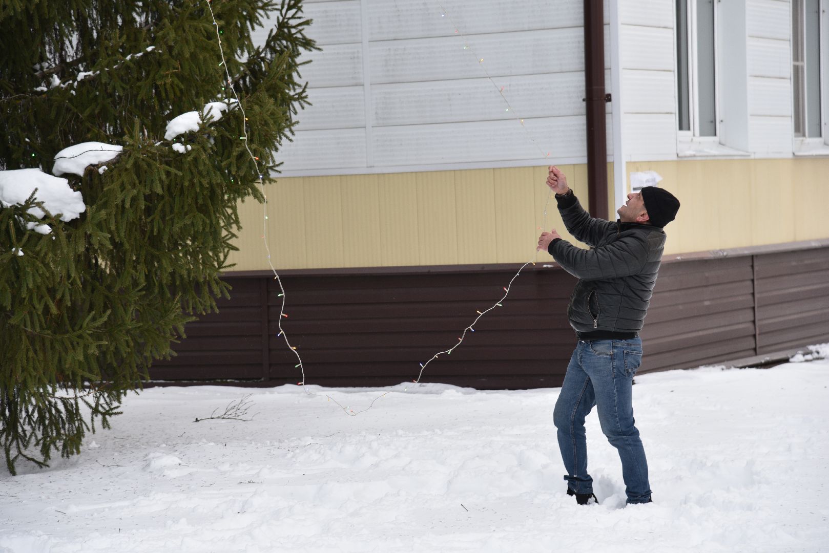 лотошино, лотошинская больница, новый год, ёлка, праздник, вертикалки,