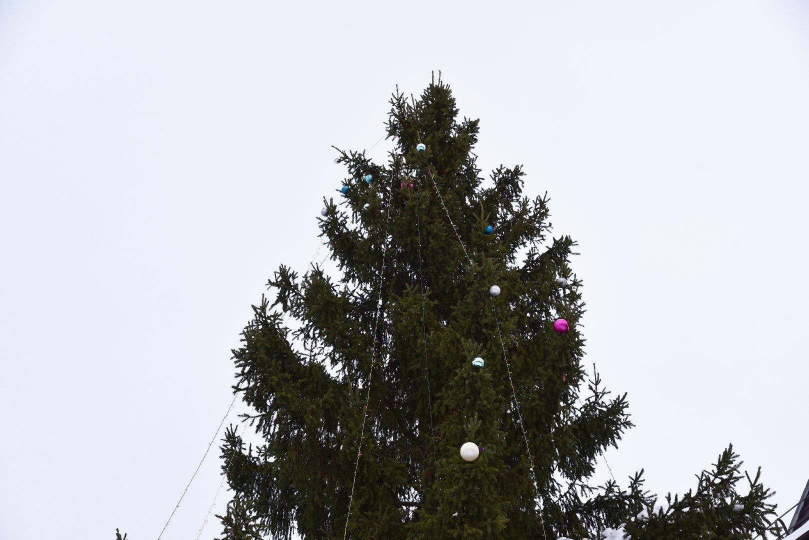 лотошино, лотошинская больница, новый год, ёлка, праздник, вертикалки,