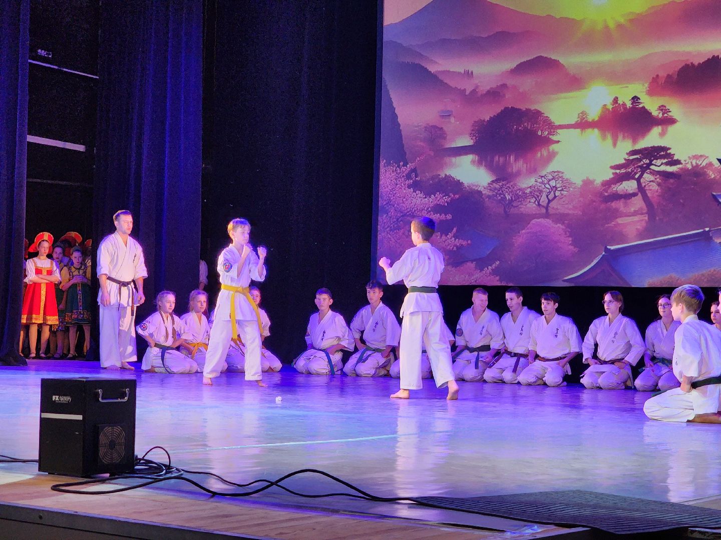 подольск, награды, триумф, спорт,