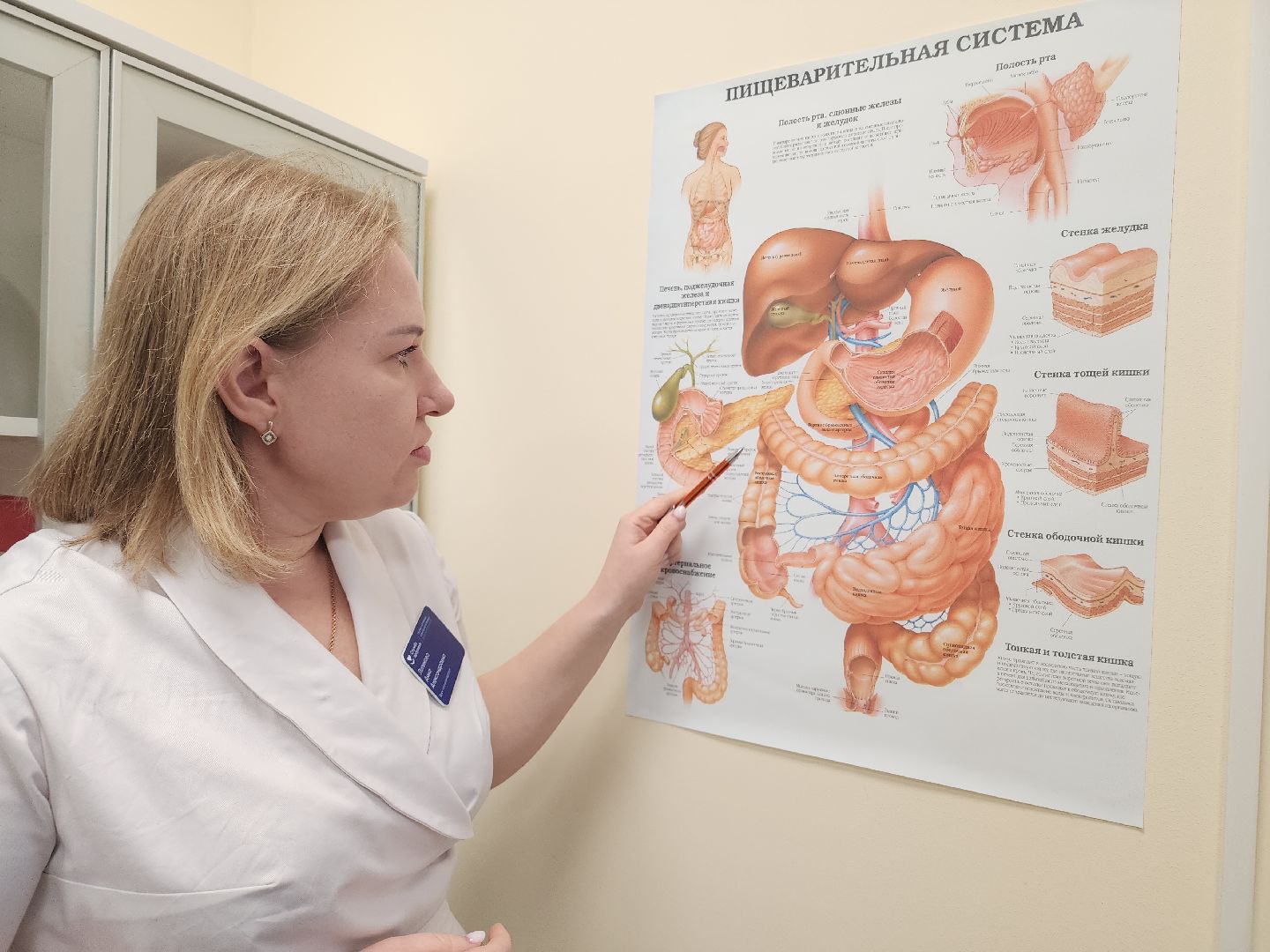 советы врачей, диета, здоровое питание,