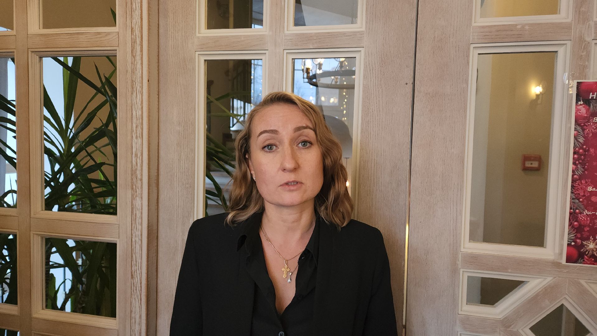 вертикалки, пушкино, нежный бизнес, деловая игра, встреча, предпринимательство, бизнес подмосковья,