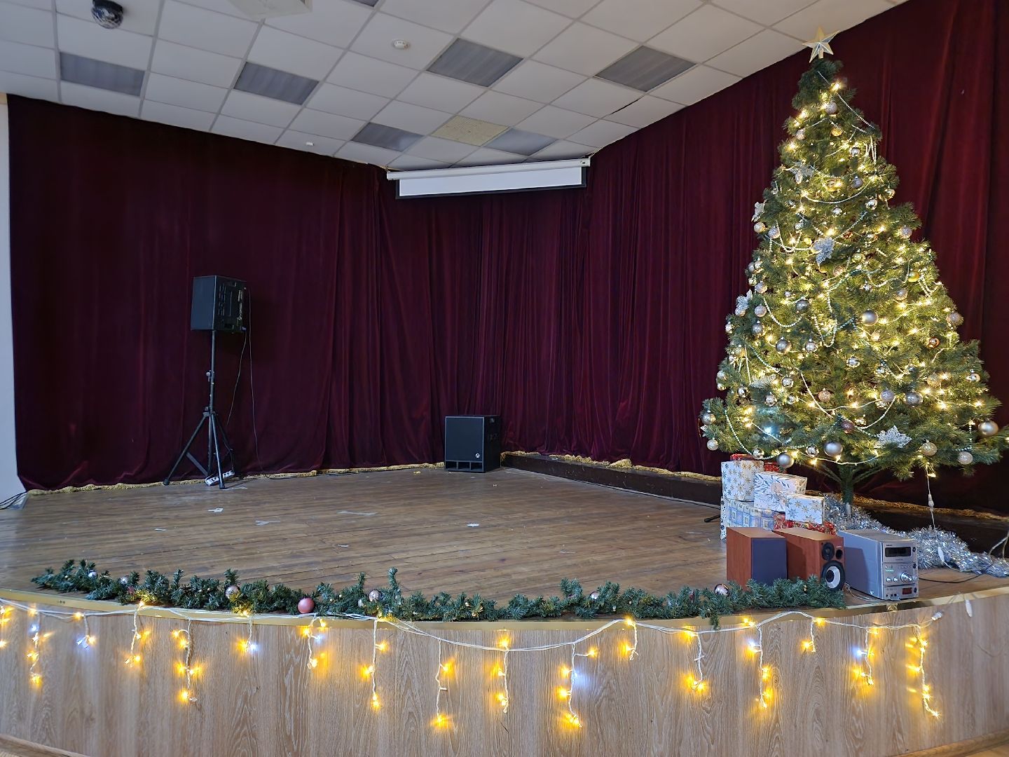 новый год, украшения, центр культуры и отдыха, зима в подмосковье, вертикалки,