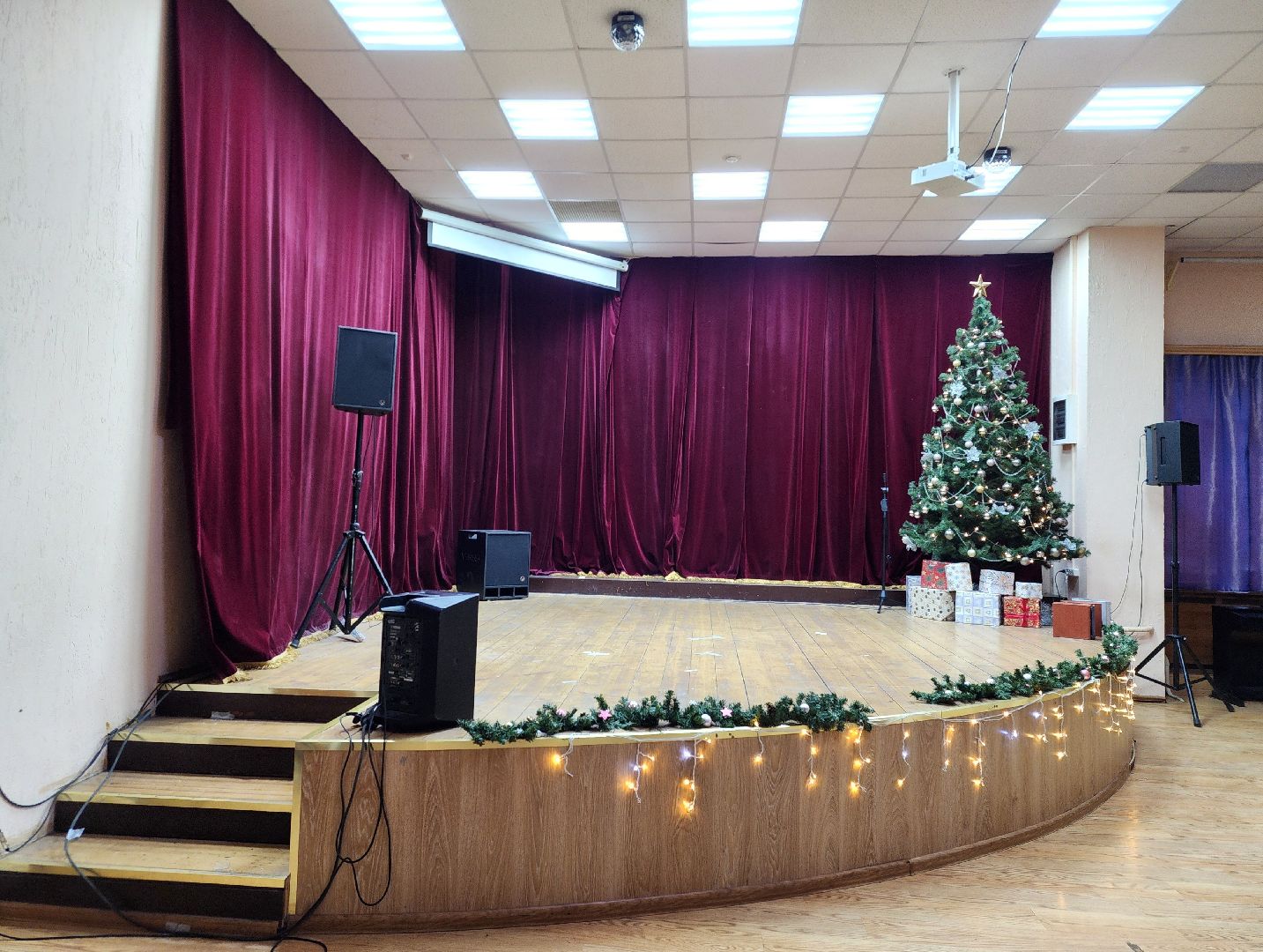 новый год, украшения, центр культуры и отдыха, зима в подмосковье, вертикалки,