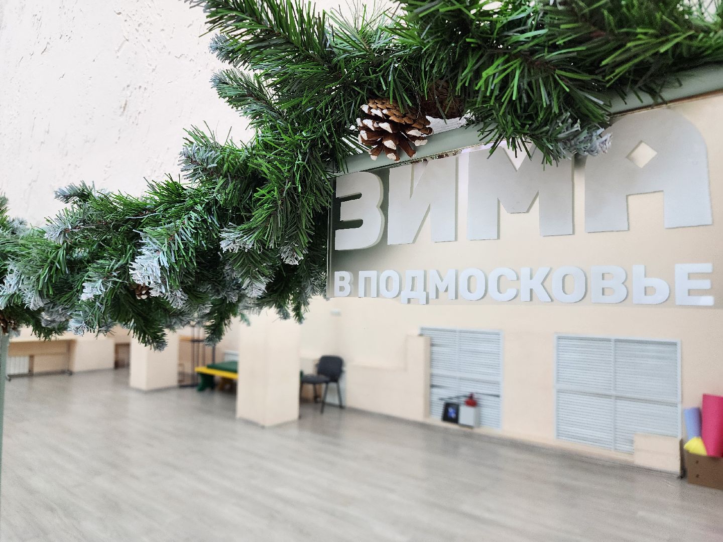 новый год, украшения, центр культуры и отдыха, зима в подмосковье, вертикалки,