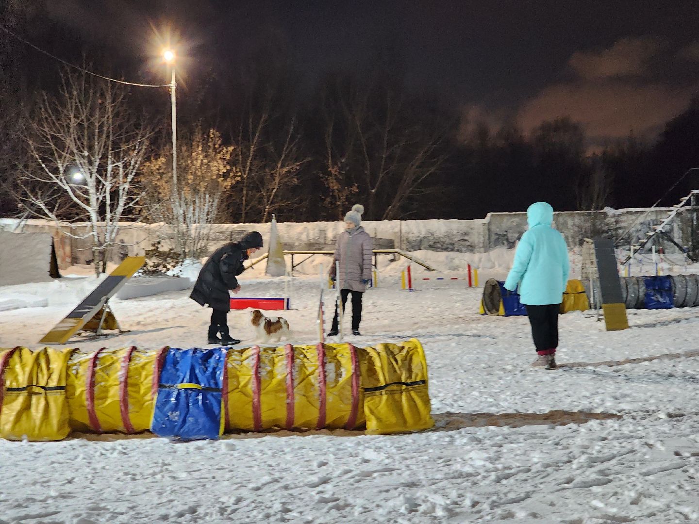 долгопрудный, кинологи, конкурс благоустройства, новый год, гирлянды, вертикалки,