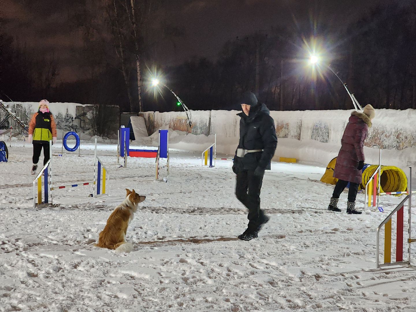 долгопрудный, кинологи, конкурс благоустройства, новый год, гирлянды, вертикалки,