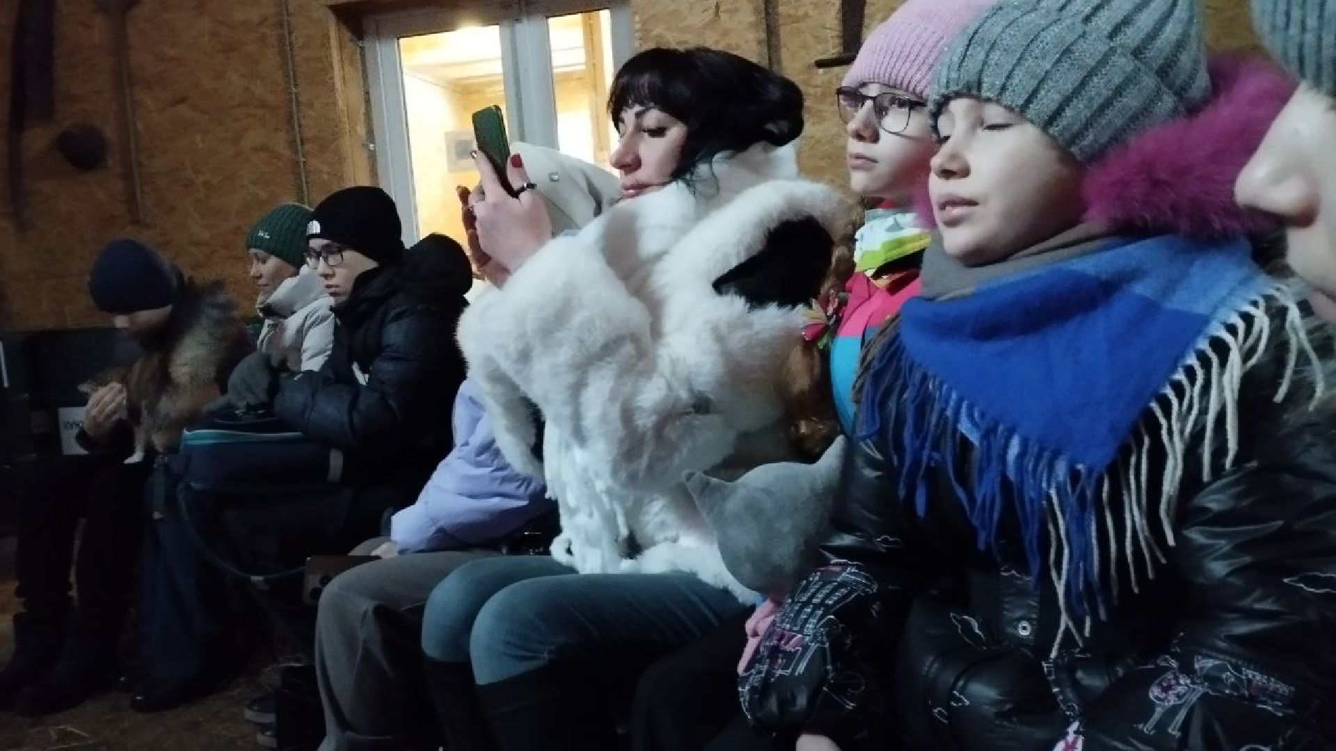 вертикалки, пушкино, экологический проект, животные, дети, спектакль, традиции, ферма,