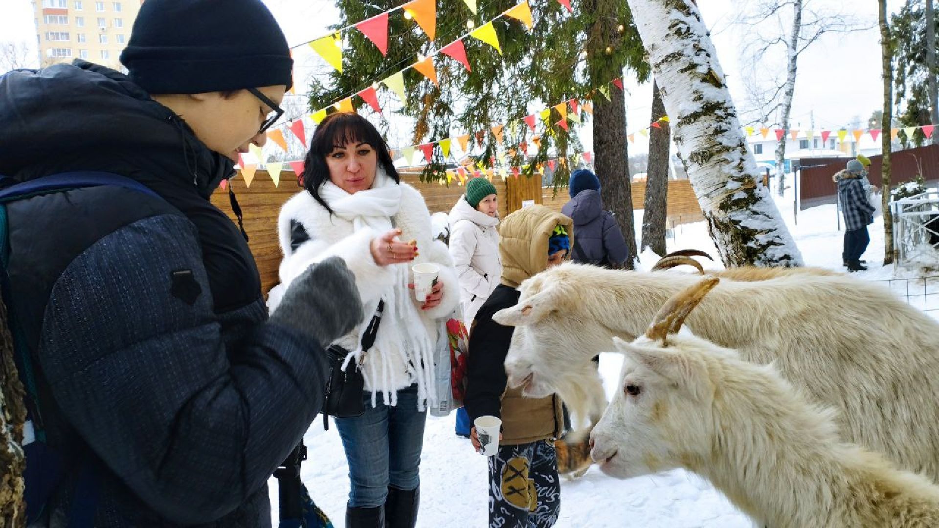 вертикалки, пушкино, экологический проект, животные, дети, спектакль, традиции, ферма,