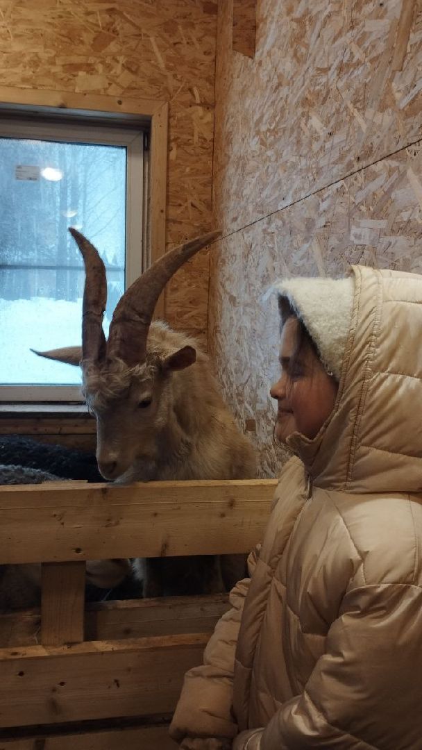 вертикалки, пушкино, экологический проект, животные, дети, спектакль, традиции, ферма,