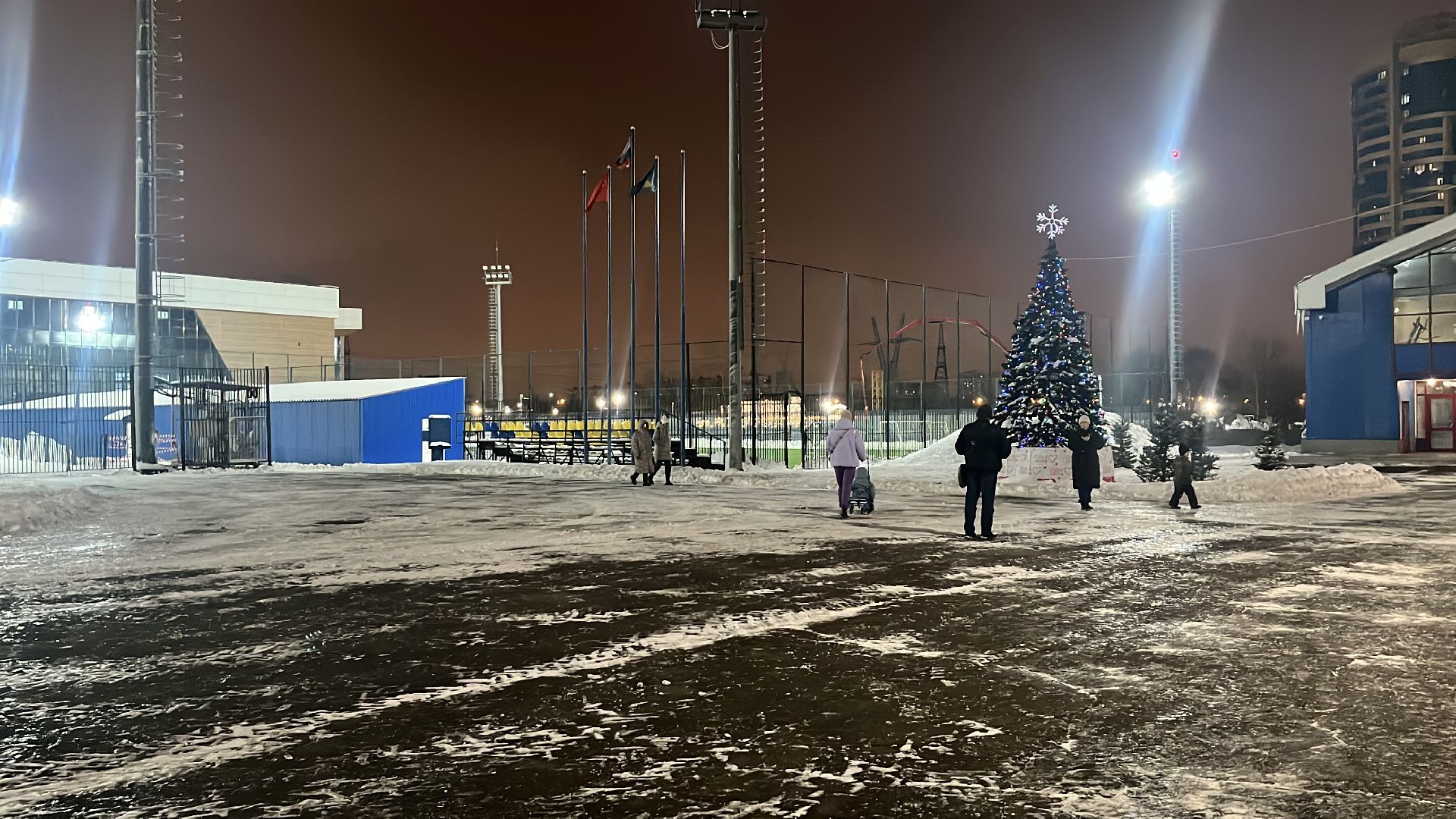 бокс, боксер, алексей папин, реутов,