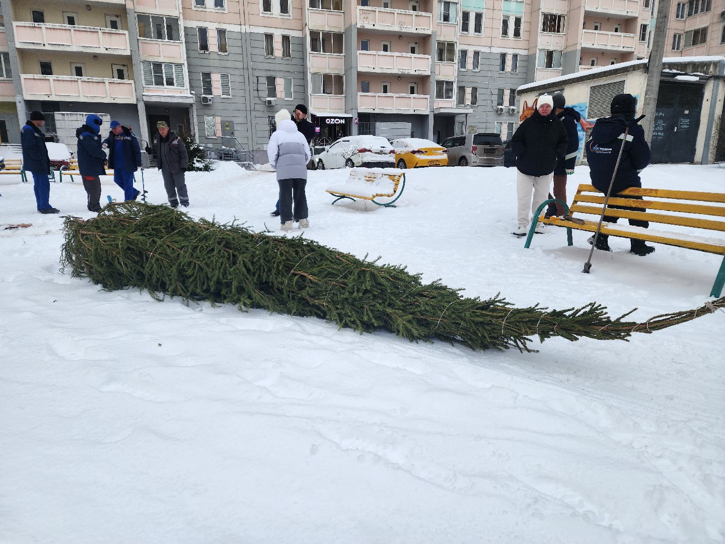 подольск, ёлка, праздник, новый год, вертикалки,