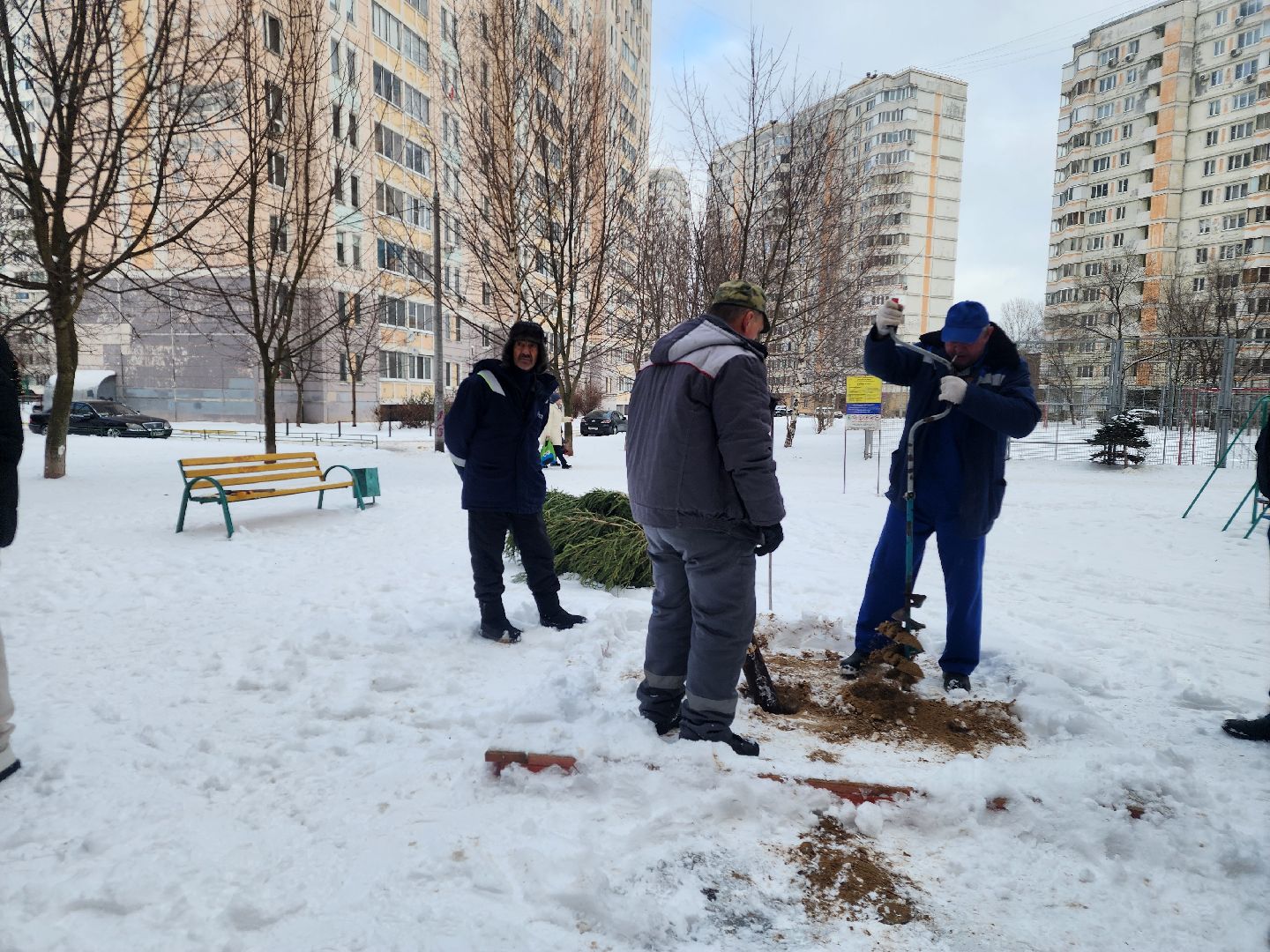 подольск, ёлка, праздник, новый год, вертикалки,