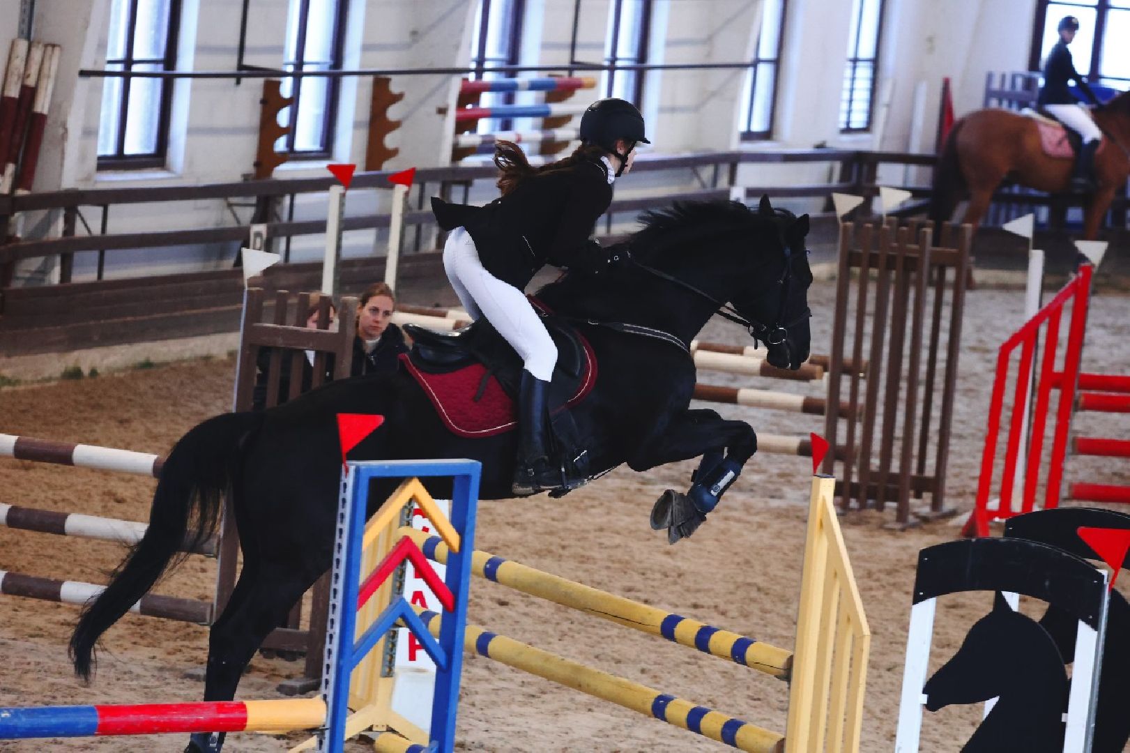 подольск, спорт, кони, конкур,