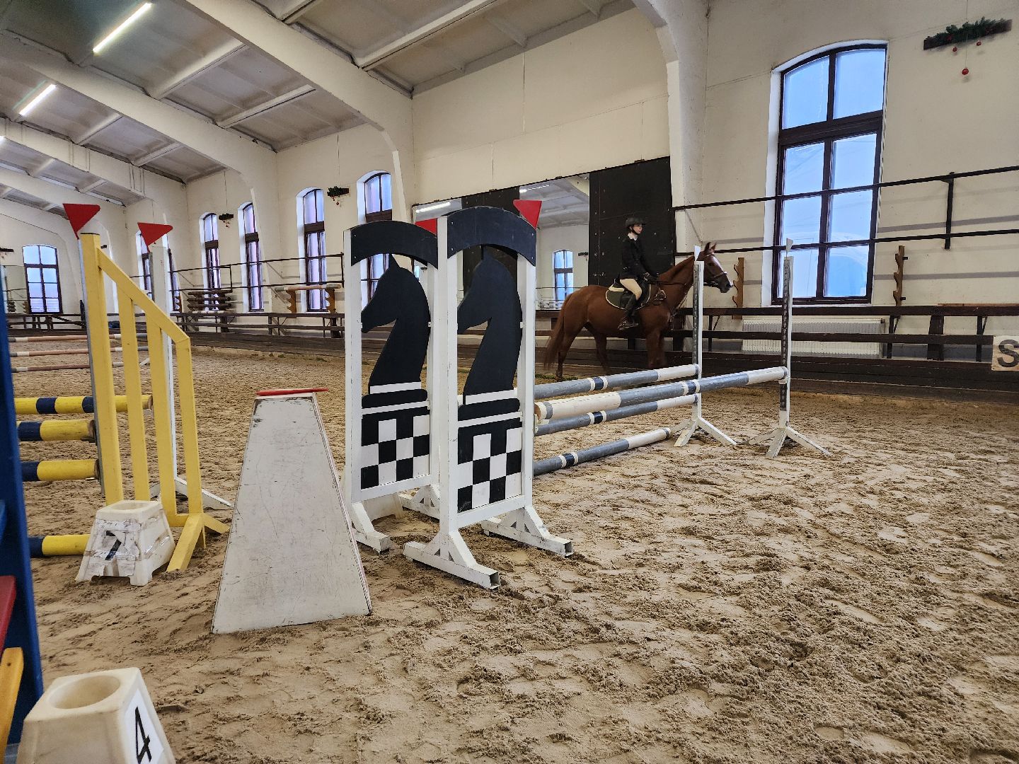 подольск, спорт, кони, конкур,