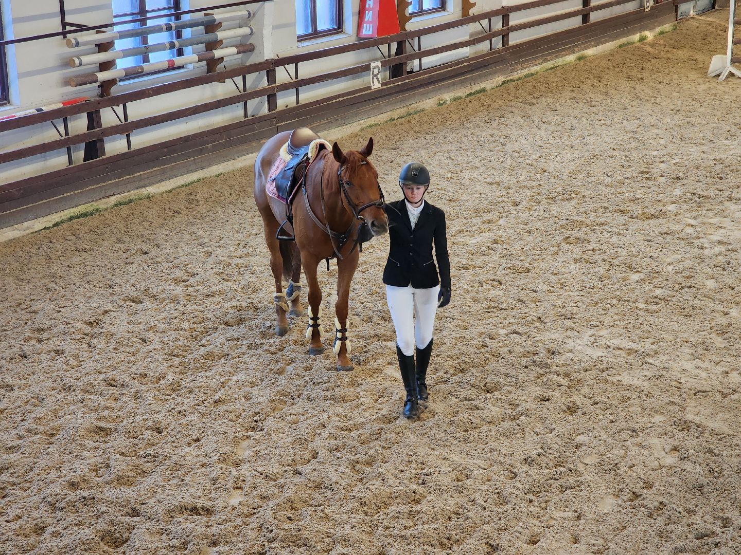 подольск, спорт, кони, конкур,