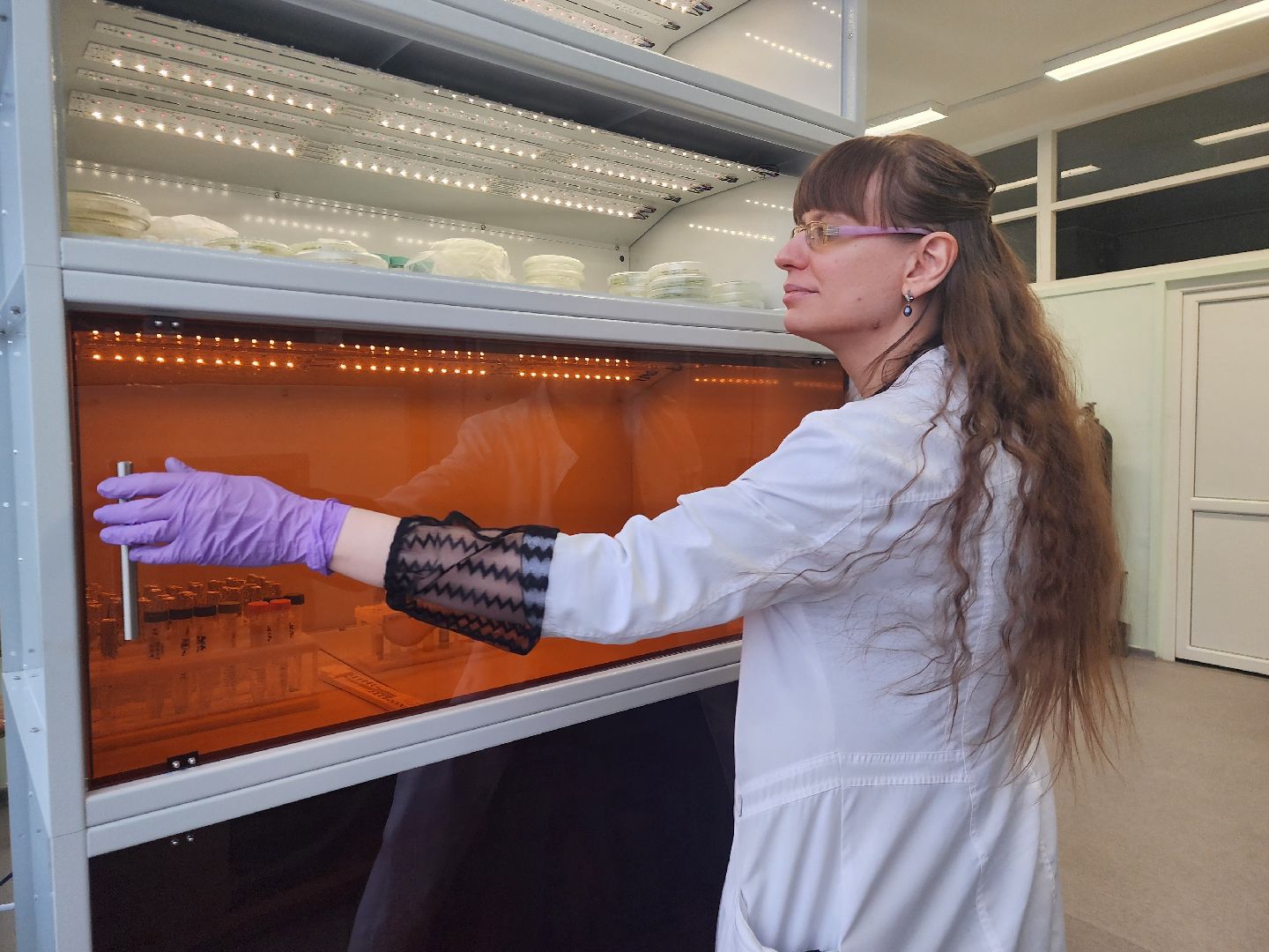 пущино, серпухов, наука, премия губернатора московской области,