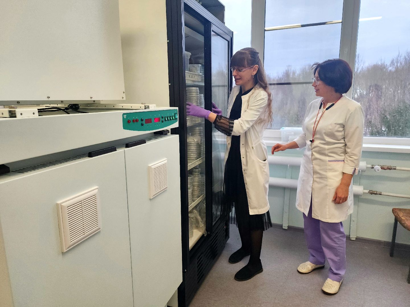 пущино, серпухов, наука, премия губернатора московской области,