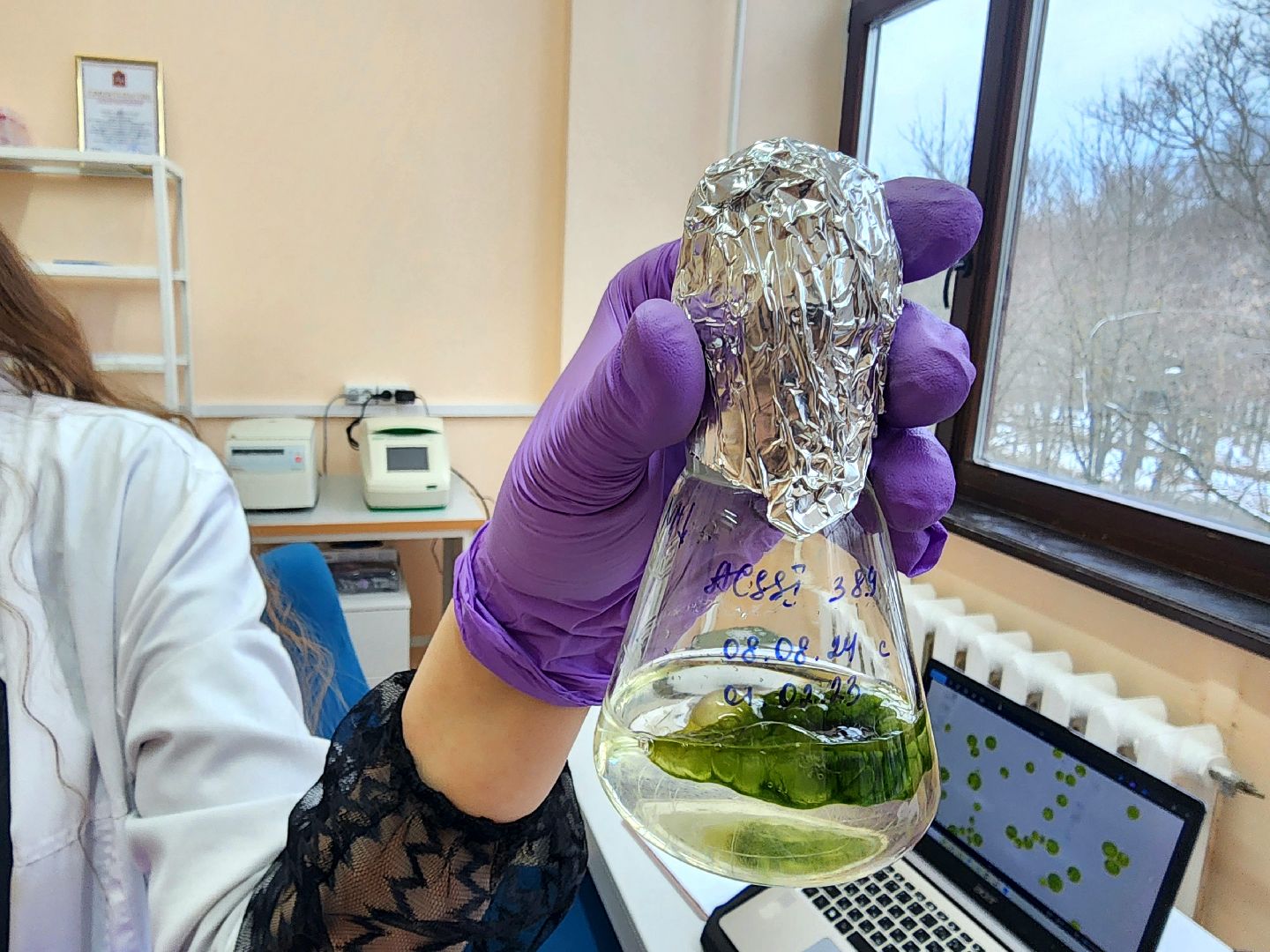 пущино, серпухов, наука, премия губернатора московской области,