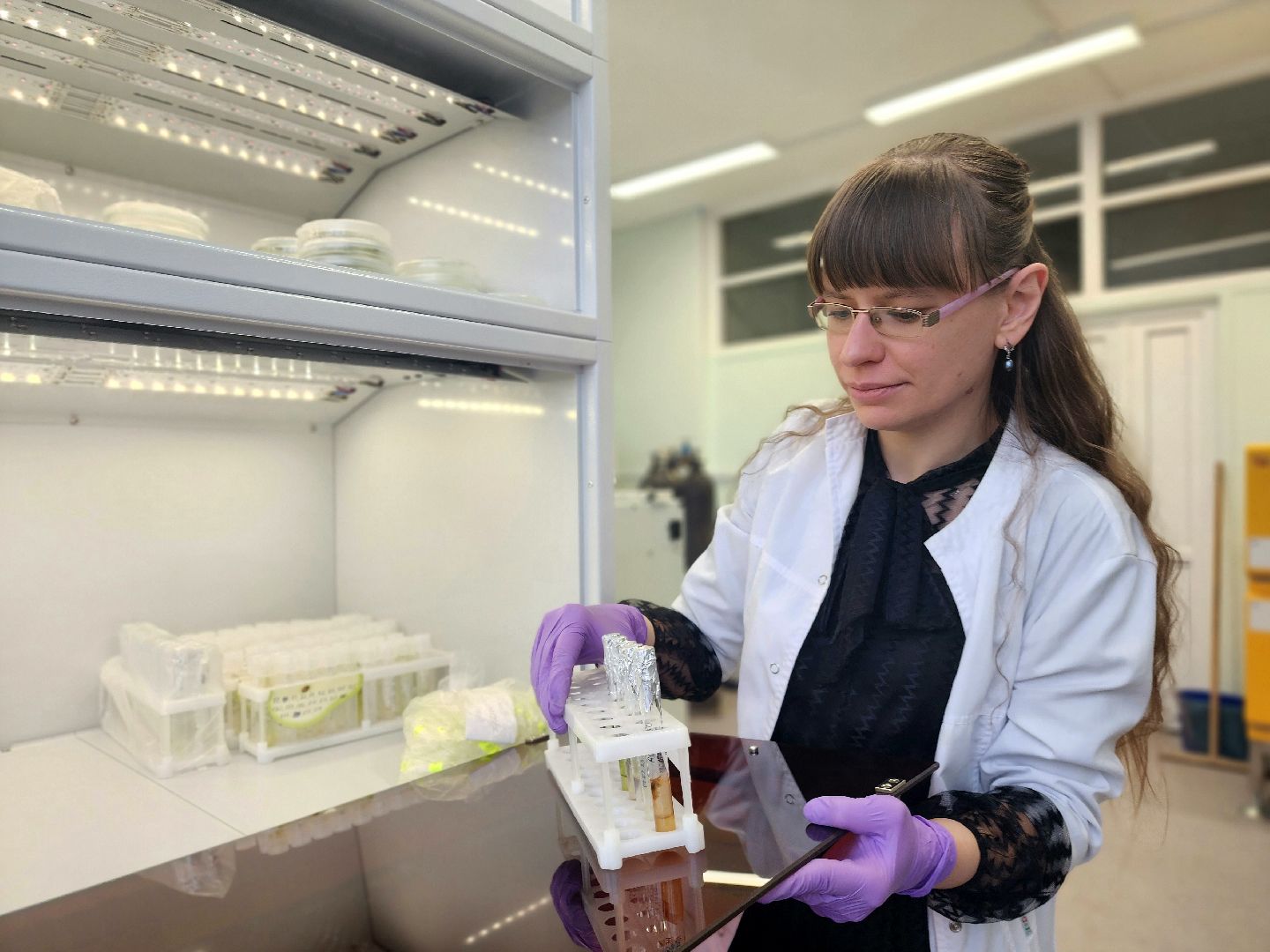 пущино, серпухов, наука, премия губернатора московской области,