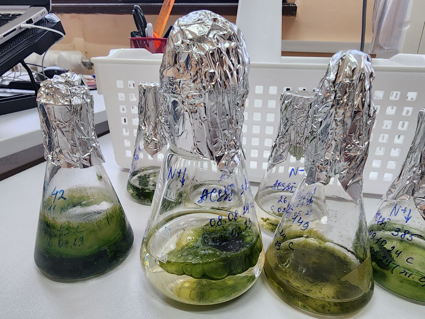 пущино, серпухов, наука, премия губернатора московской области,