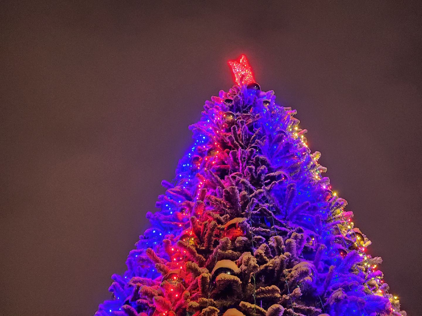 одинцово, центральная площадь, новогодняя елка, вертикалка, вертикальное видео,