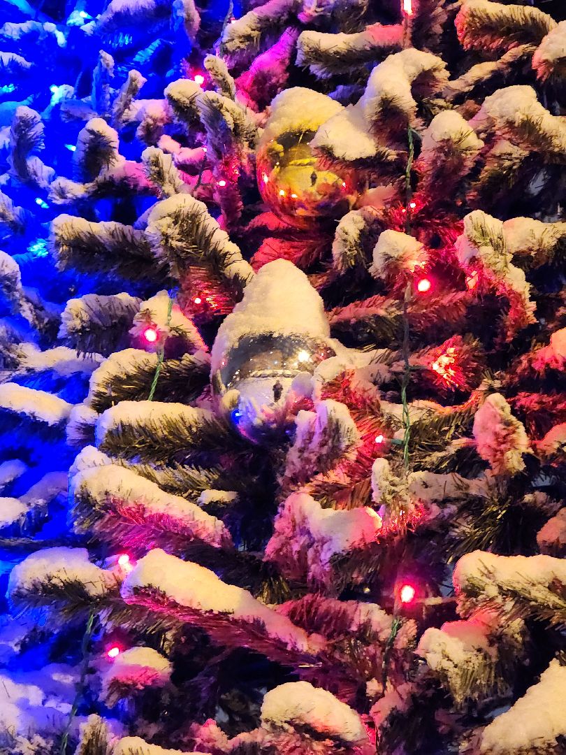 одинцово, центральная площадь, новогодняя елка, вертикалка, вертикальное видео,