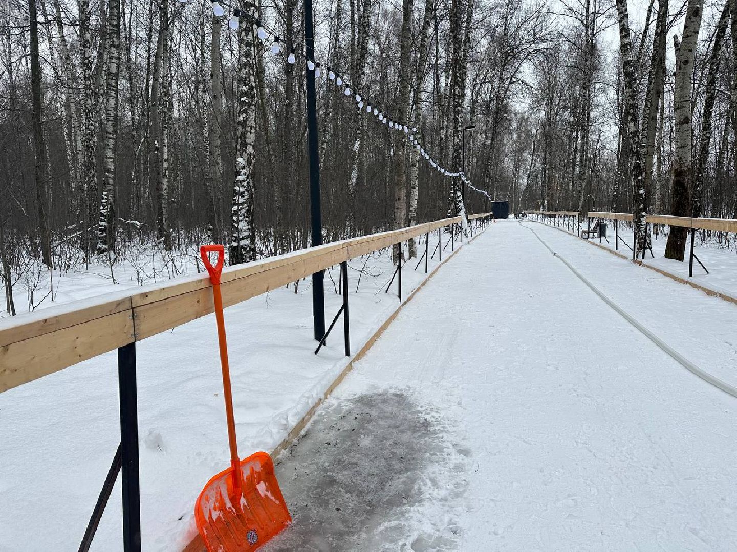 каток в парке, парки домодедово,