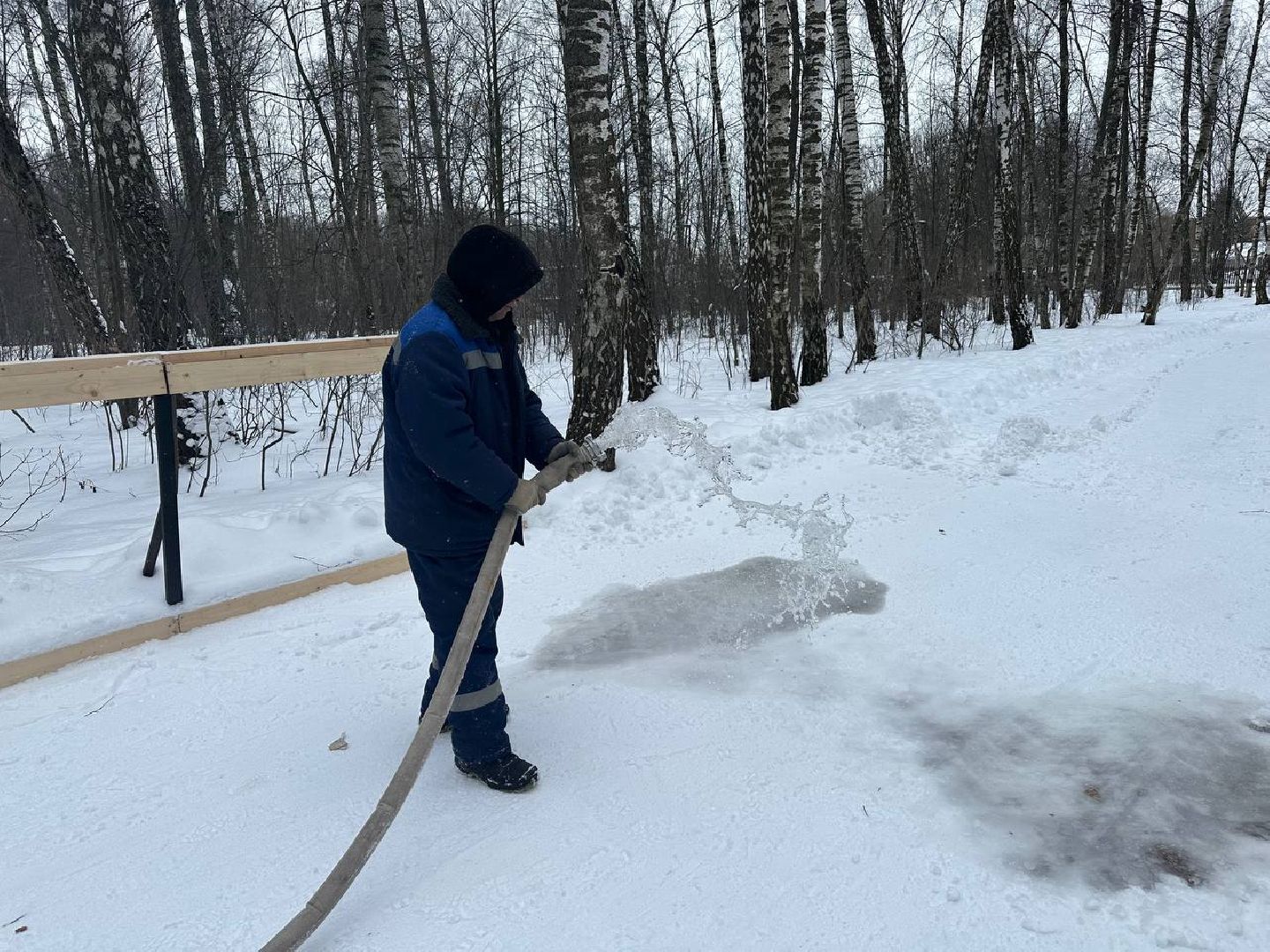 каток в парке, парки домодедово,