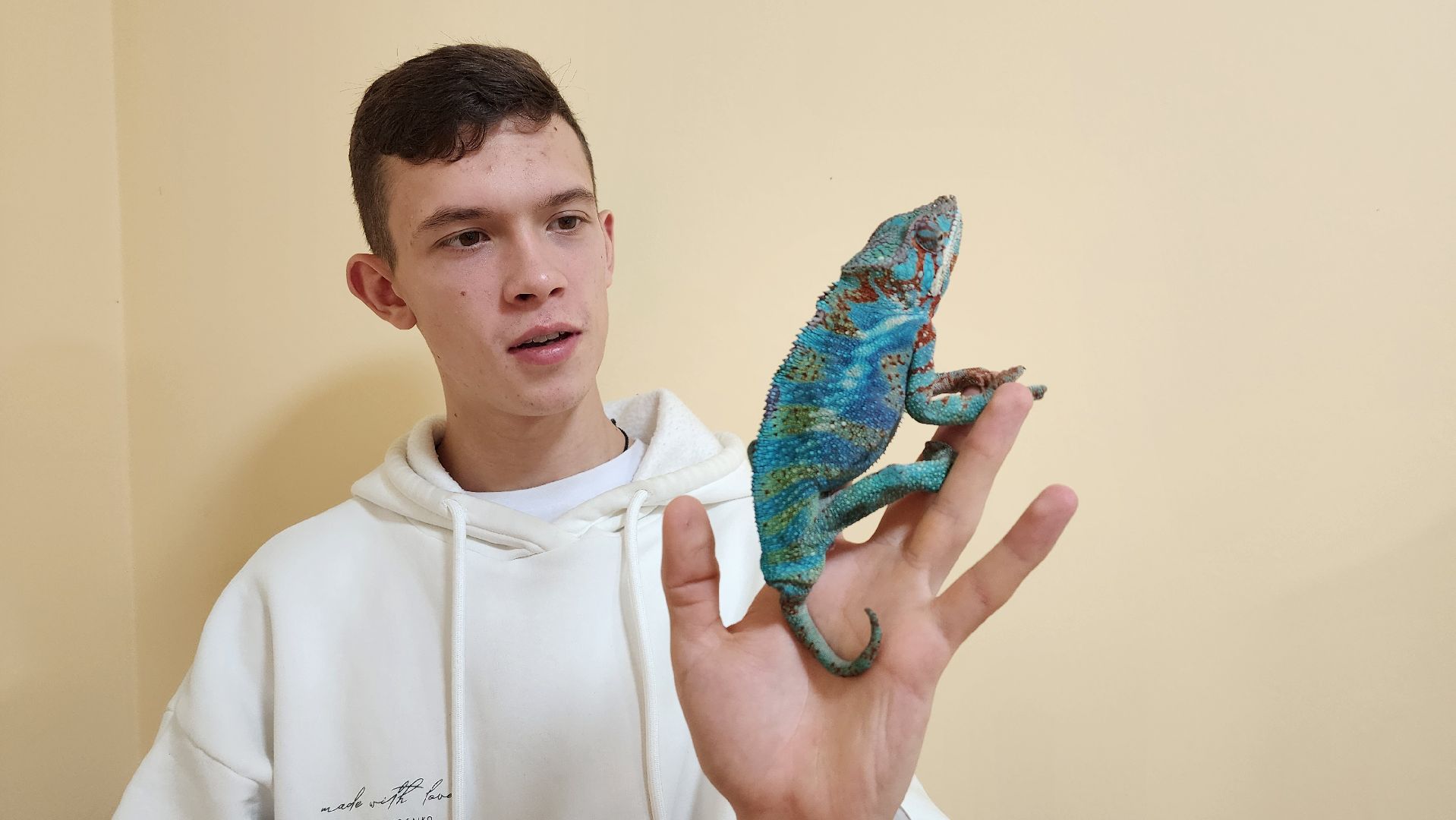 Солнечногорск, вертикалки, ветеринария, год змеи, рептилии,