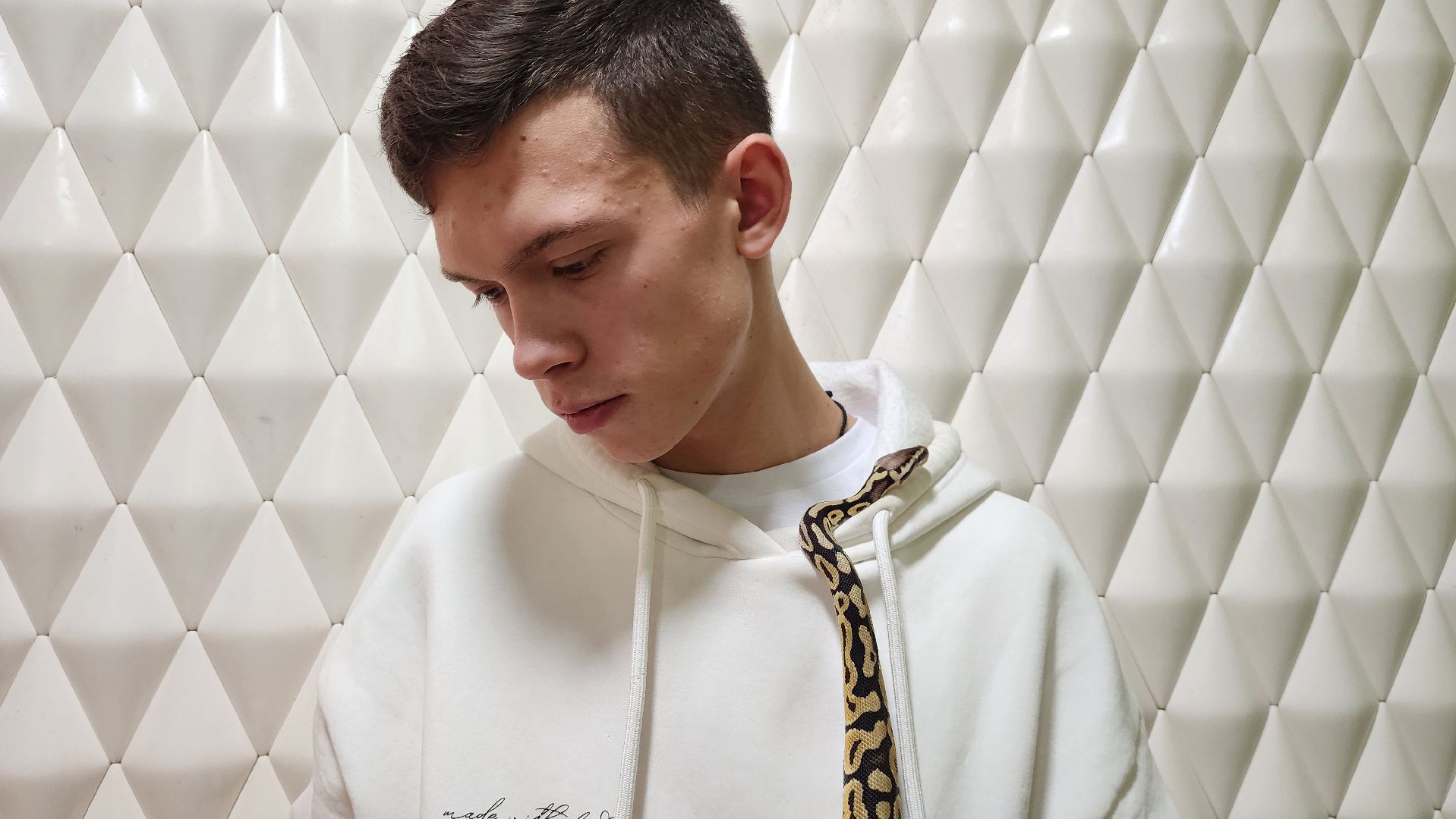 Солнечногорск, вертикалки, ветеринария, год змеи, рептилии,