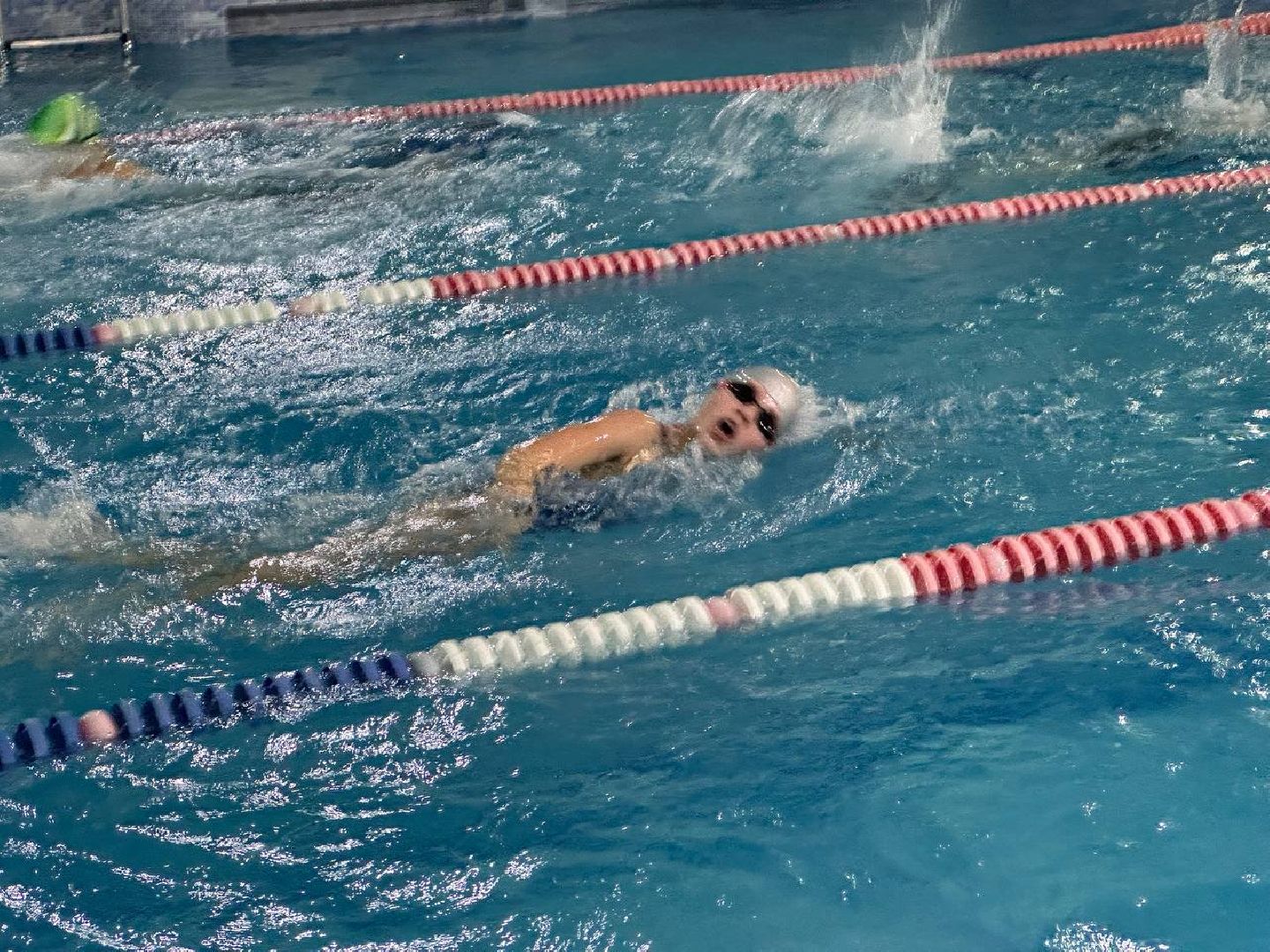 спорт, плавание, соревнования по плаванию,