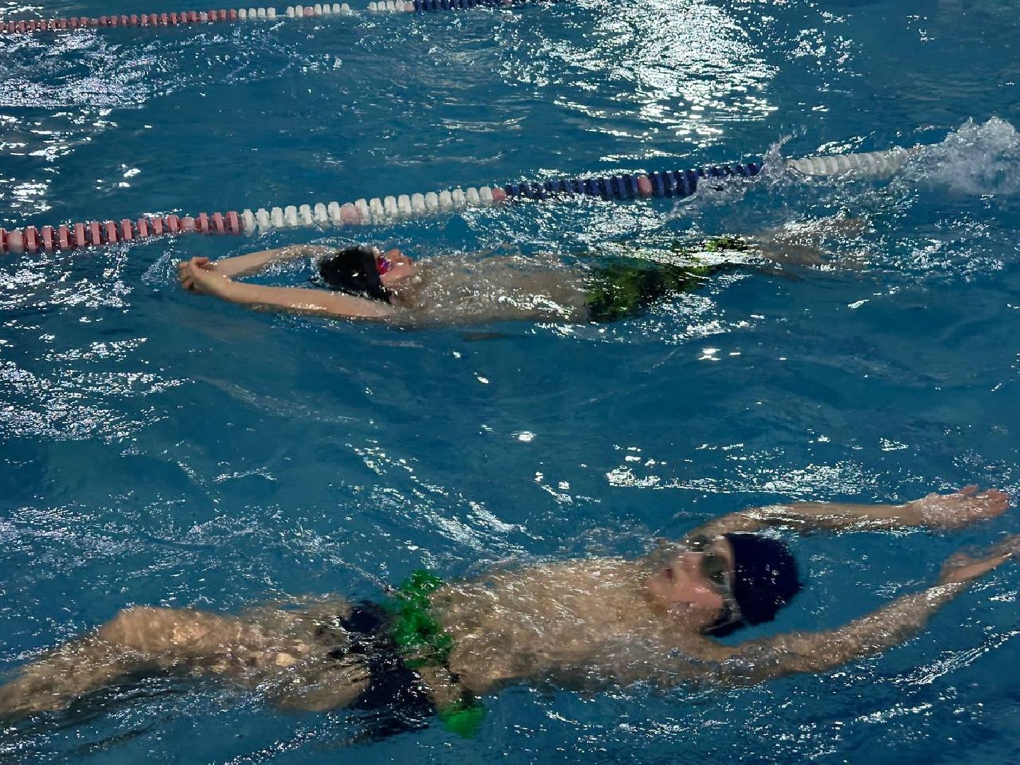 спорт, плавание, соревнования по плаванию,