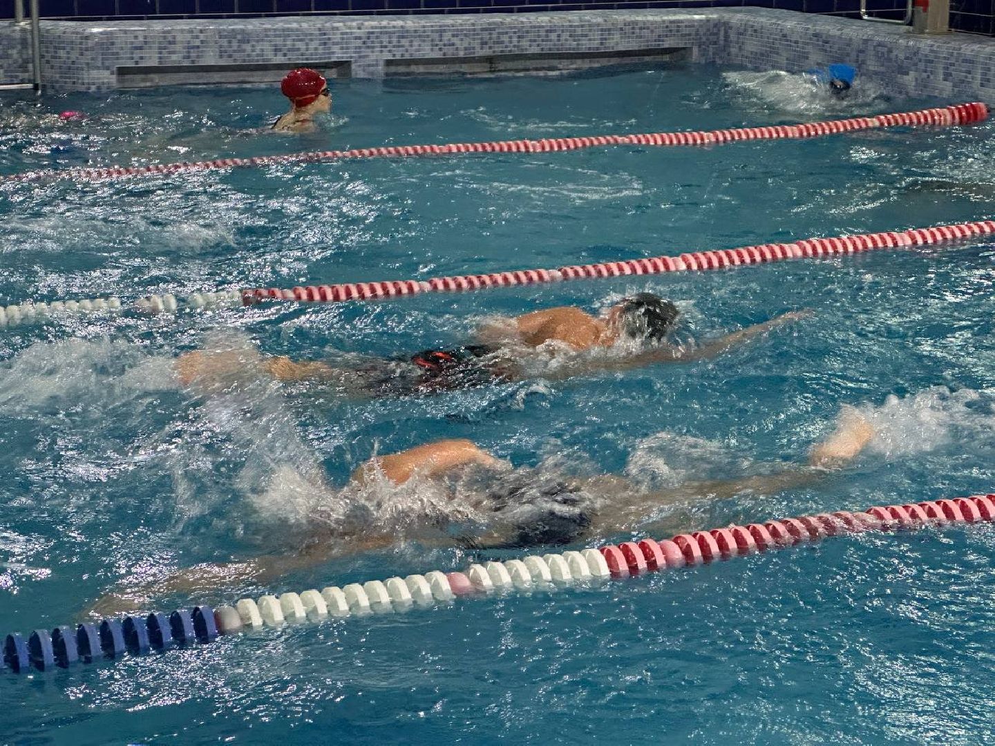 спорт, плавание, соревнования по плаванию,