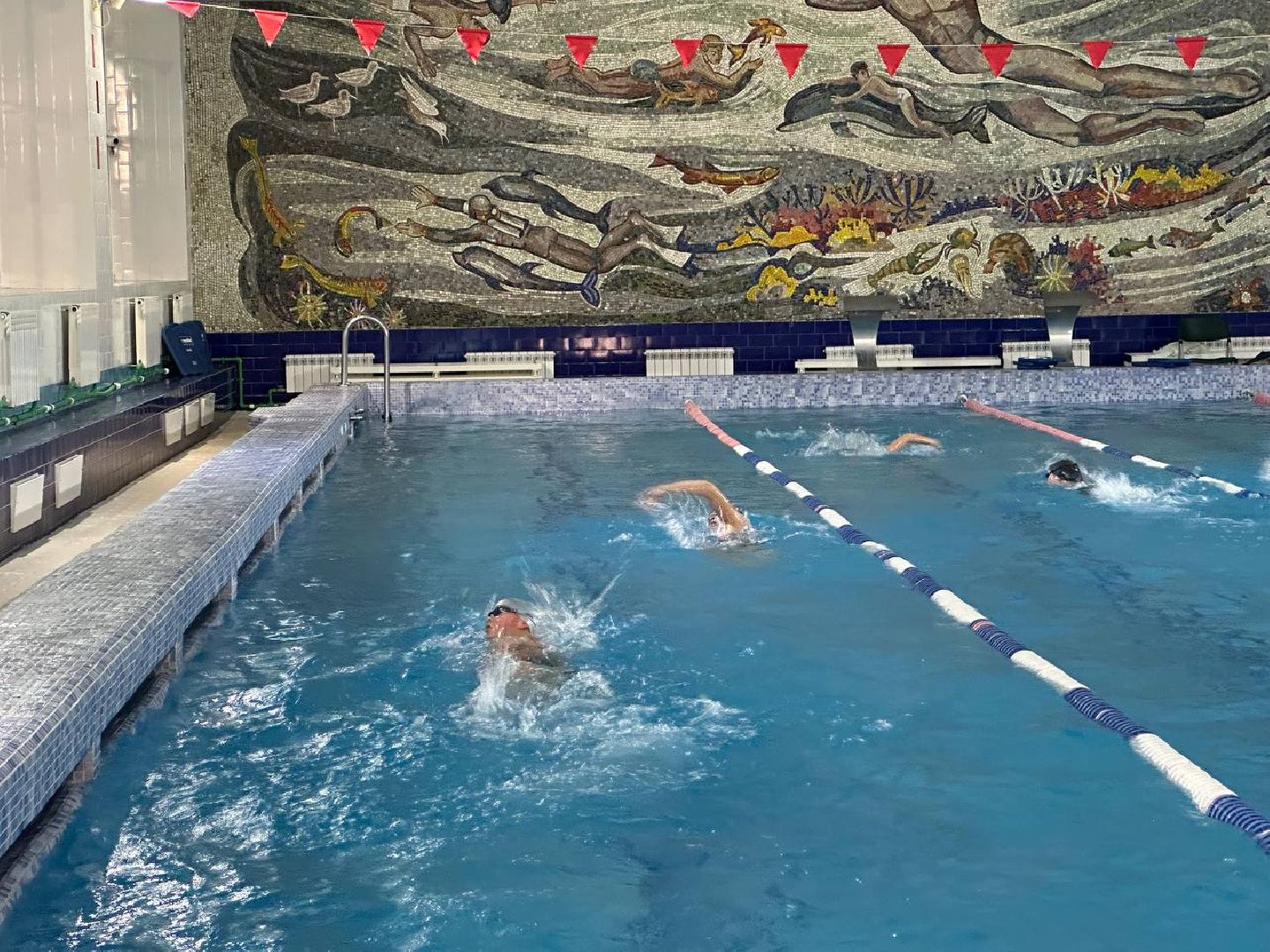 спорт, плавание, соревнования по плаванию,