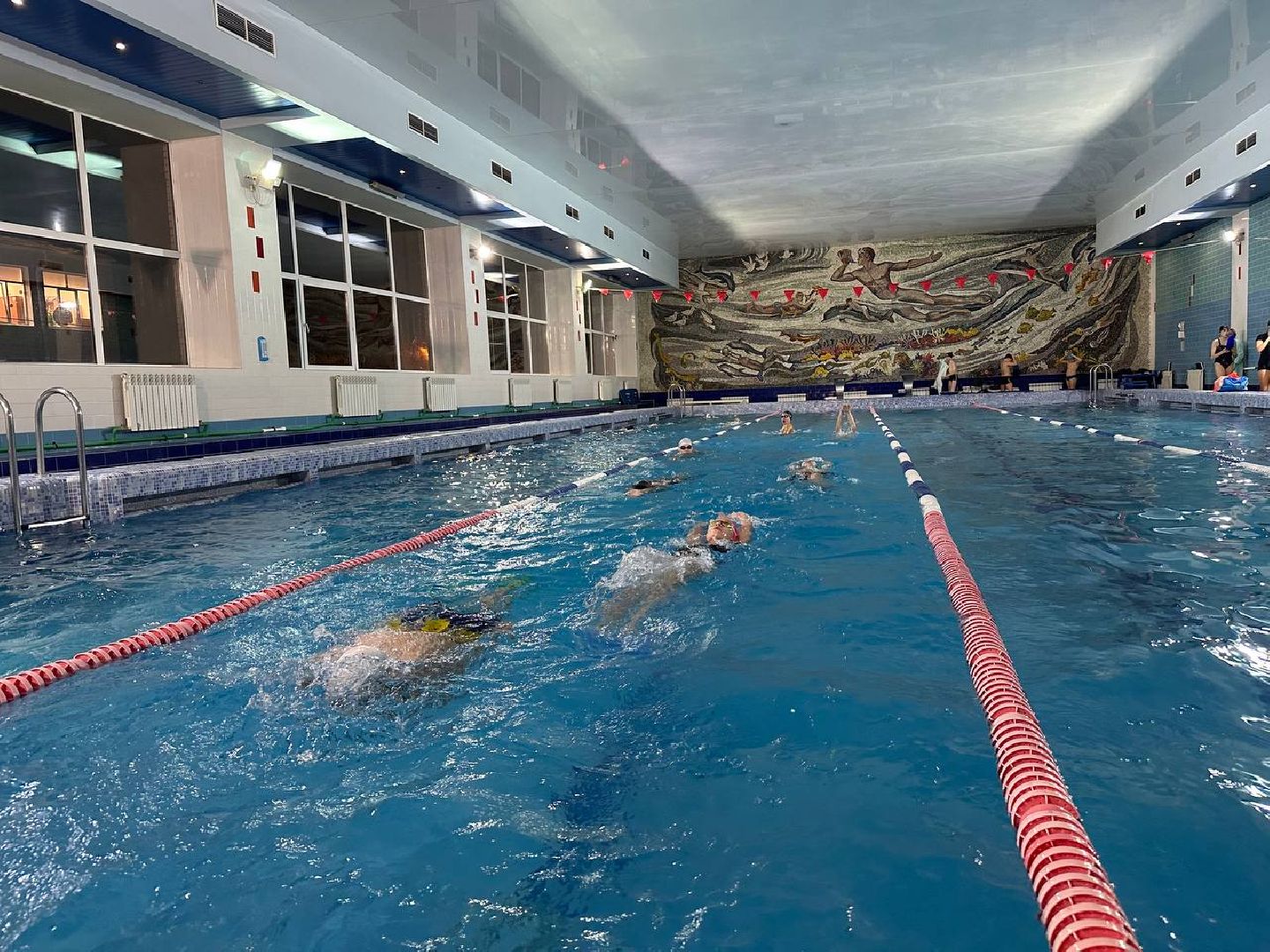 спорт, плавание, соревнования по плаванию,