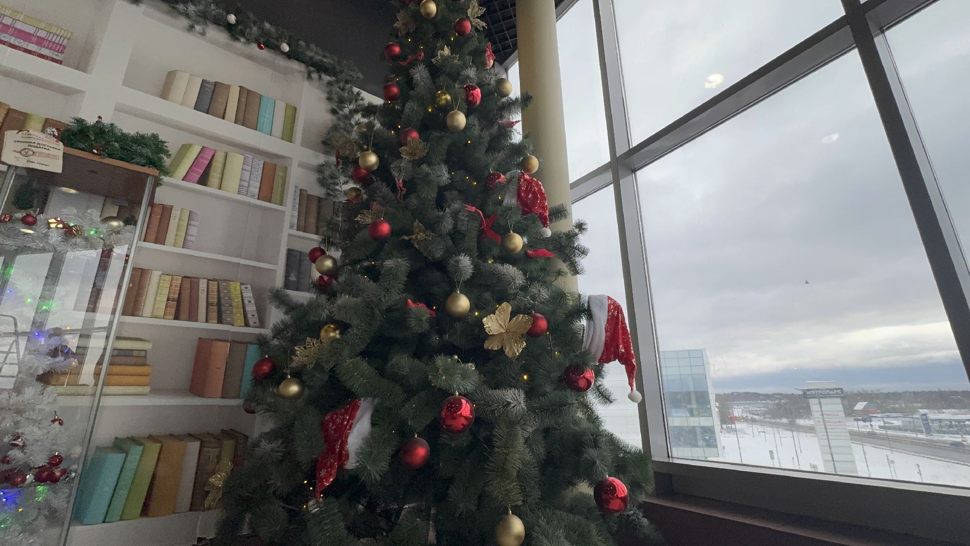 Солнечногорск, Мастерская деда мороза, Акция, вертикалки, Жители,