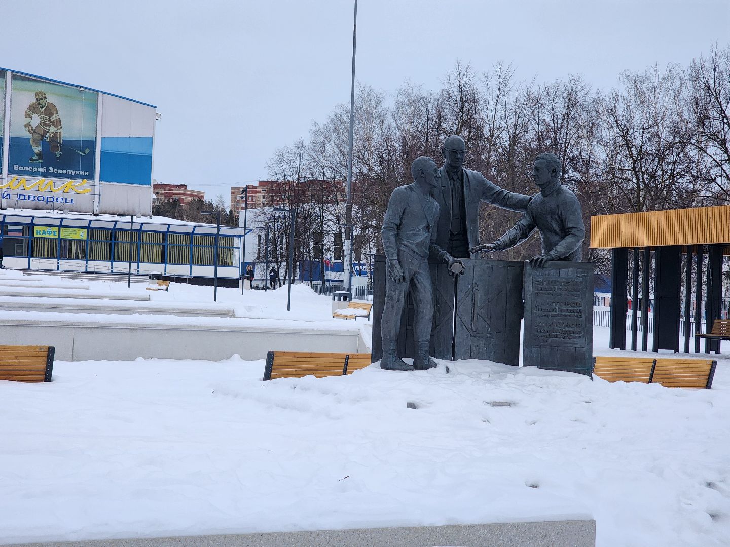 воскресенск, спорт, общество,