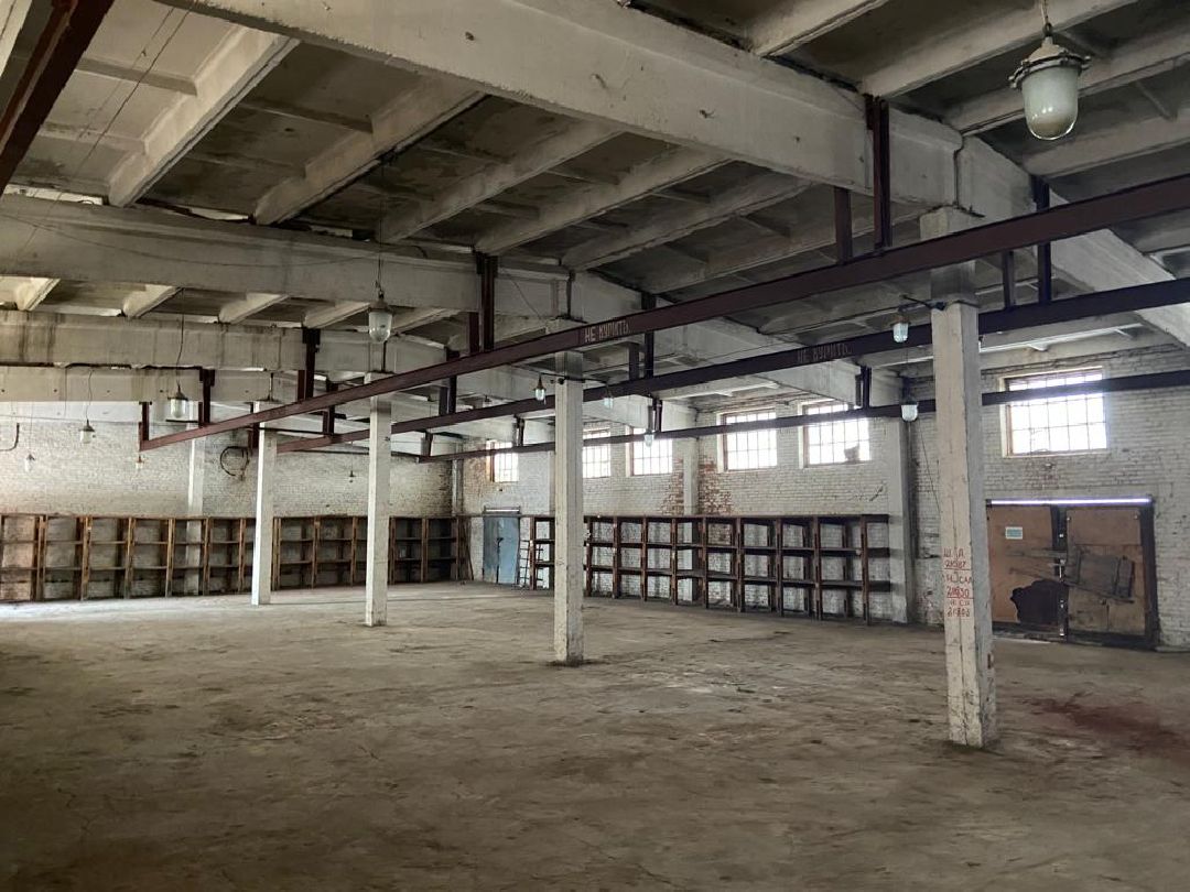 Воскресенск, общество