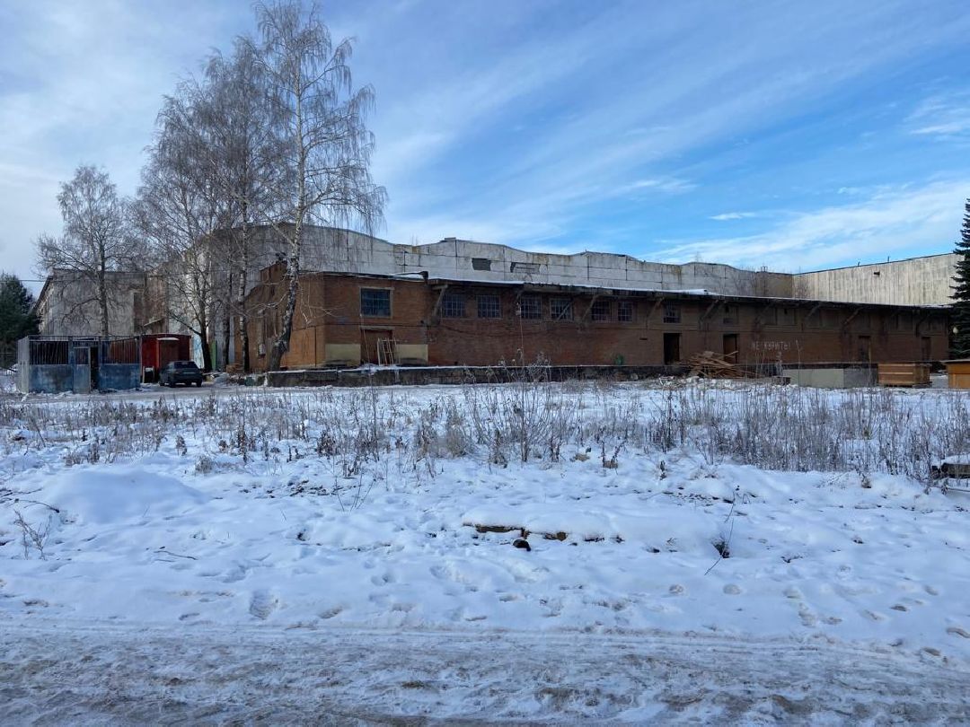 Воскресенск, общество