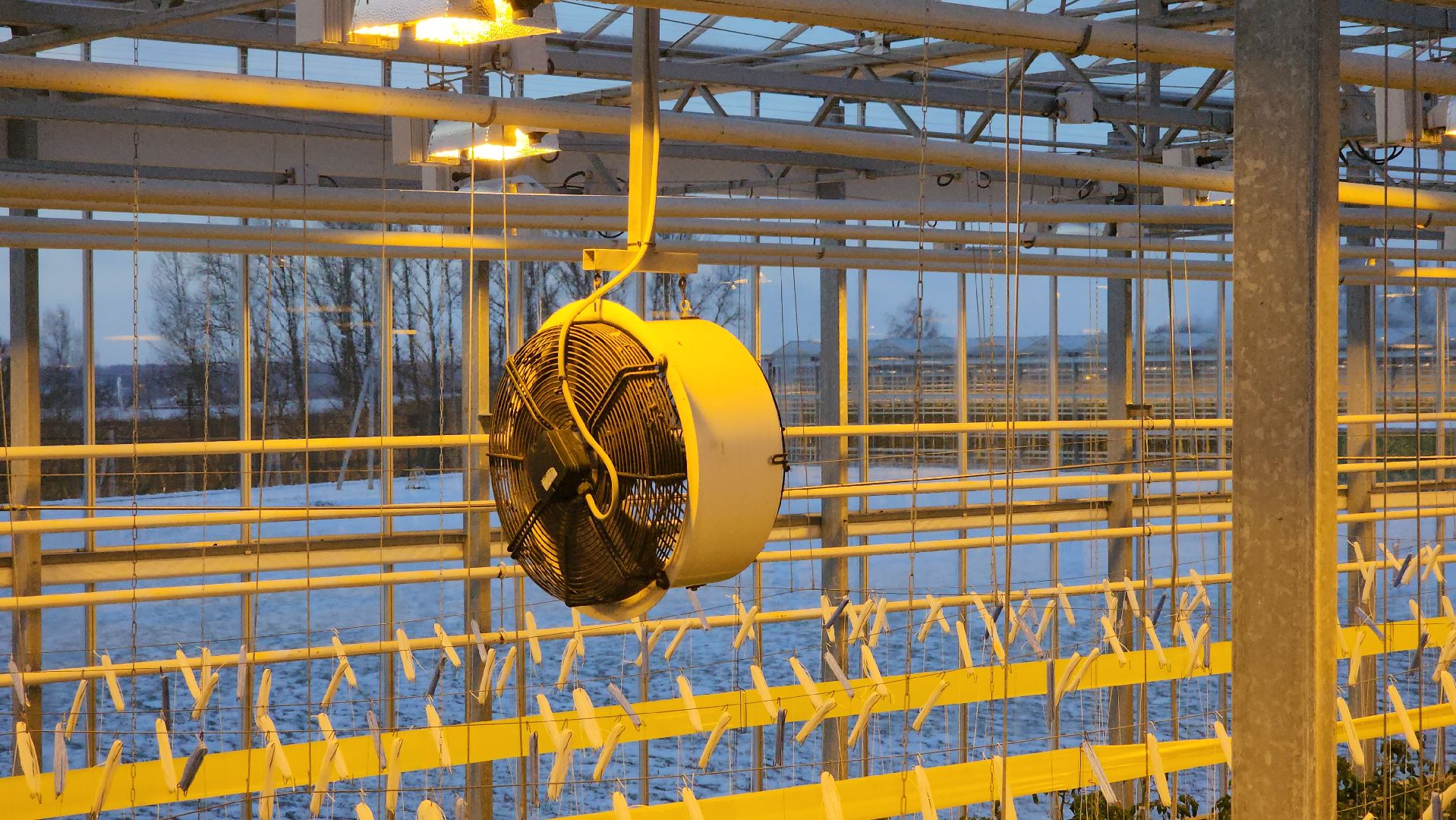 кашира, экономика, огурцы, томаты, теплицы, РОСТ,