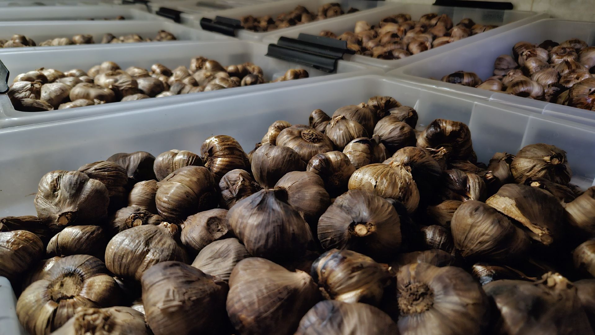 Экономика, Жуковский, Предприятия, Бизнес,