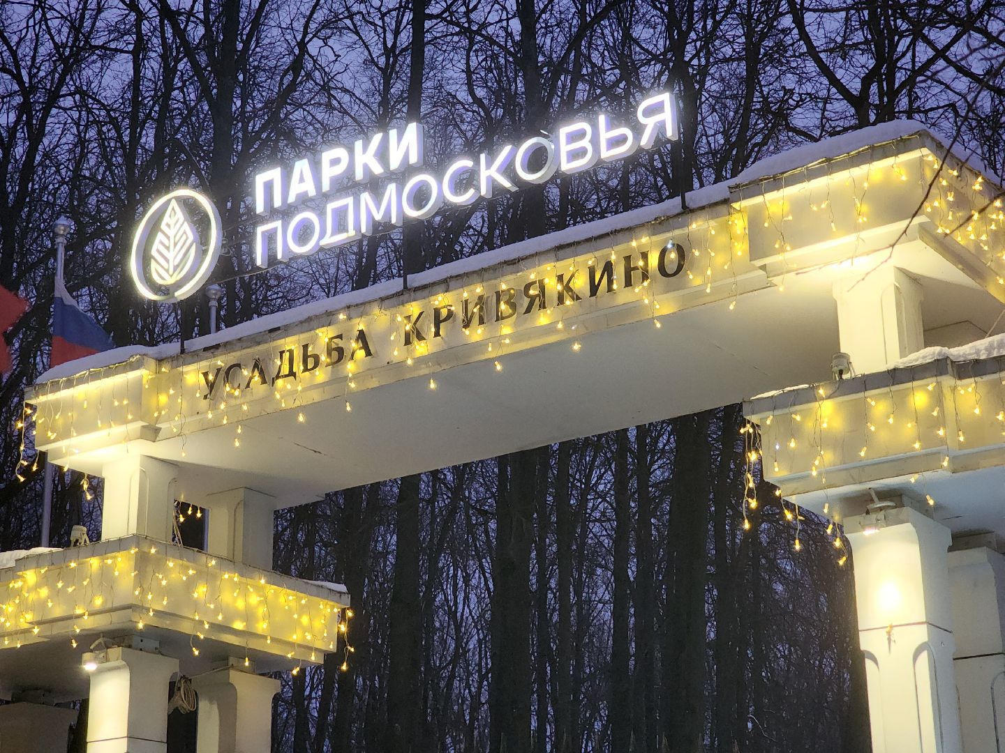 воскресенск, кривякино, карусель, зима в подмосковье,
